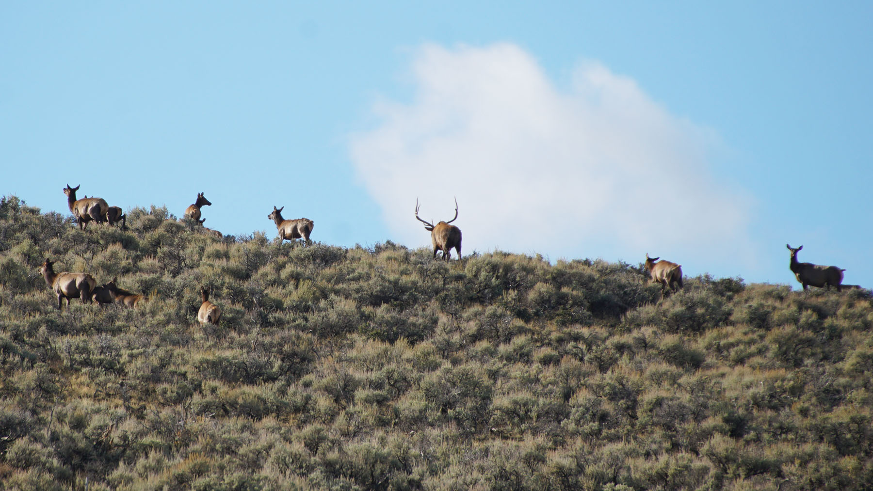 K Ranch property picture 65 of 100