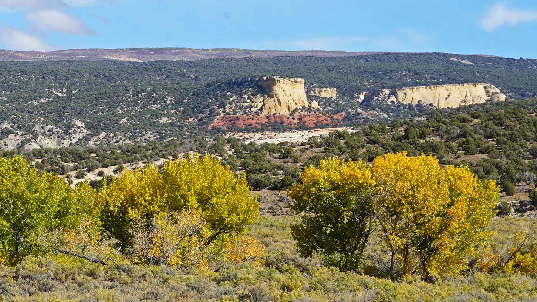 K Ranch property picture 21 of 100