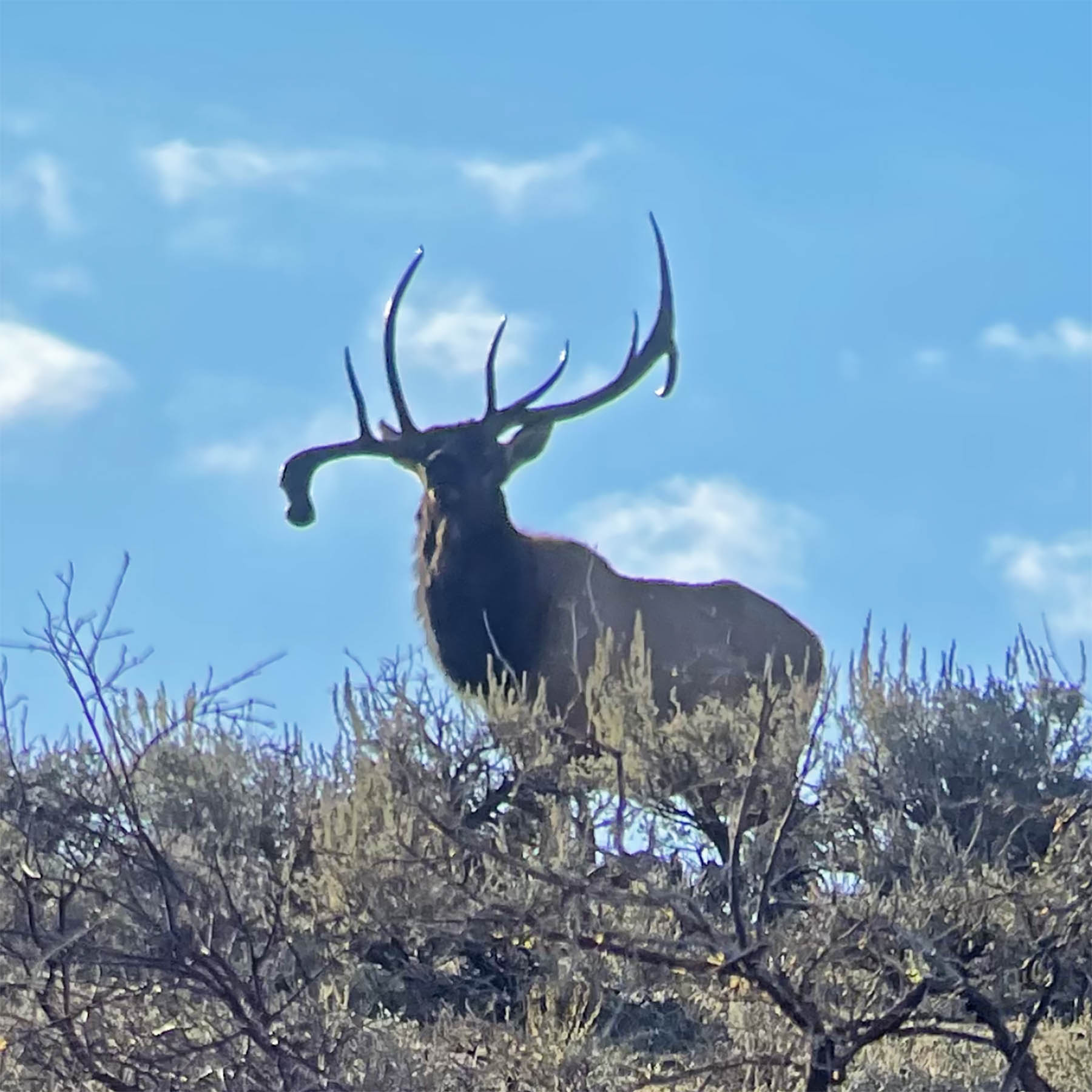 K Ranch property picture 29 of 100