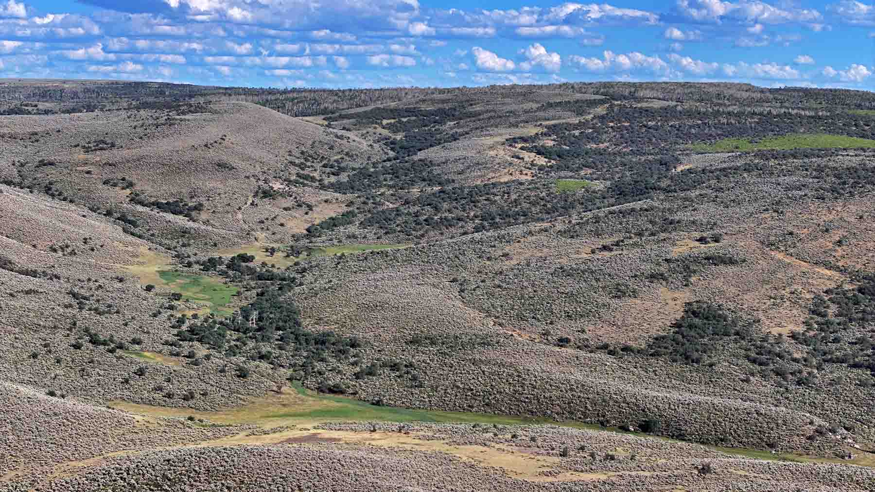 K Ranch property picture 52 of 100