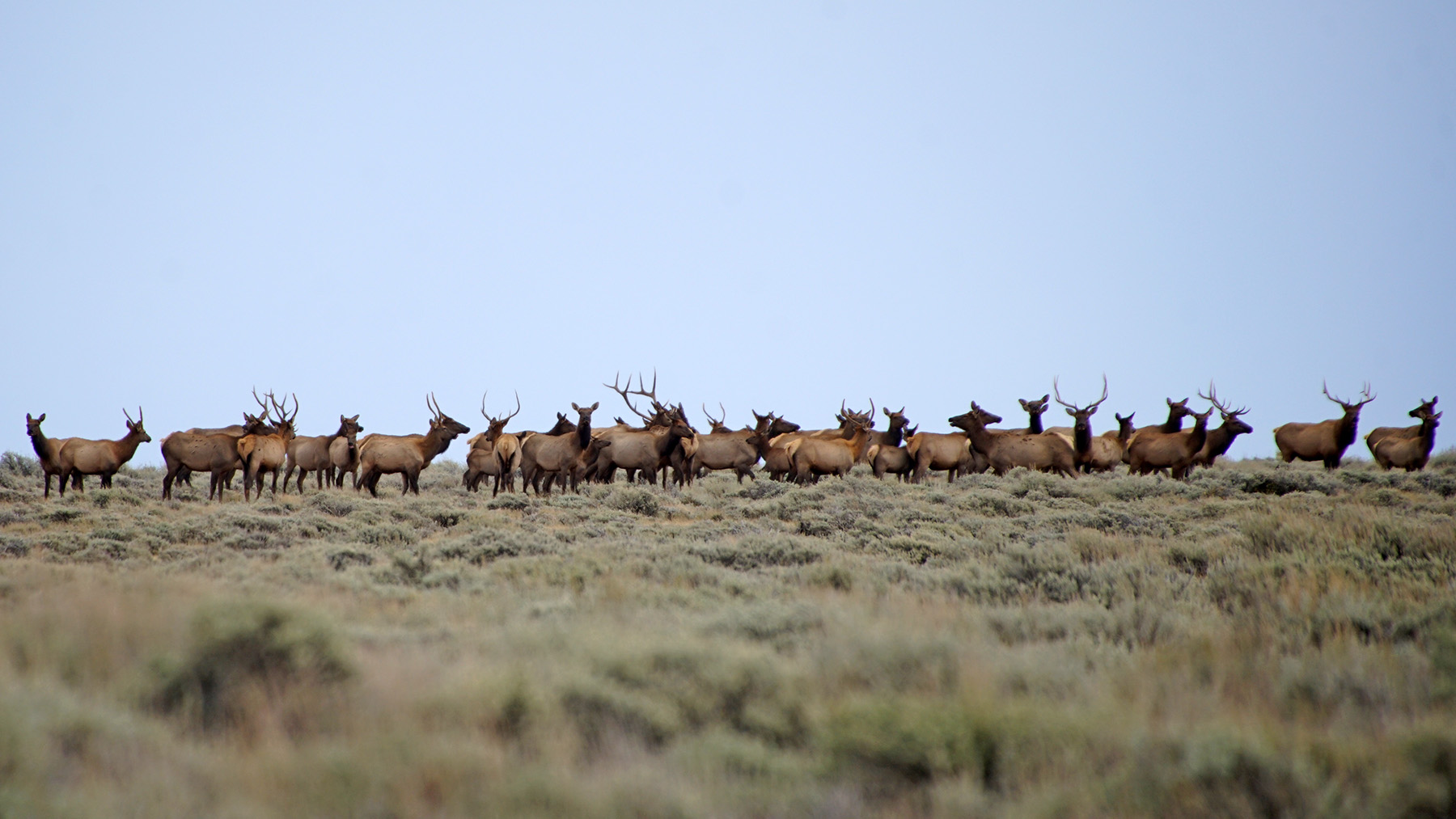 K Ranch property picture 9 of 100