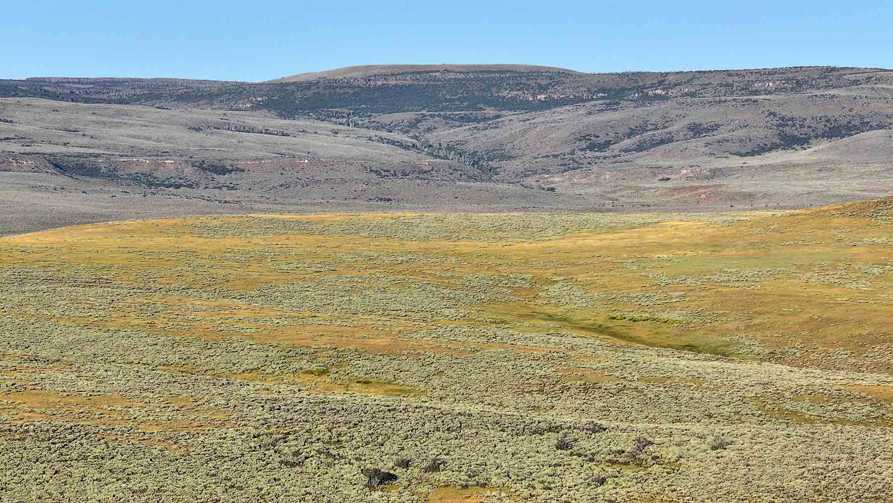 K Ranch property picture 84 of 100