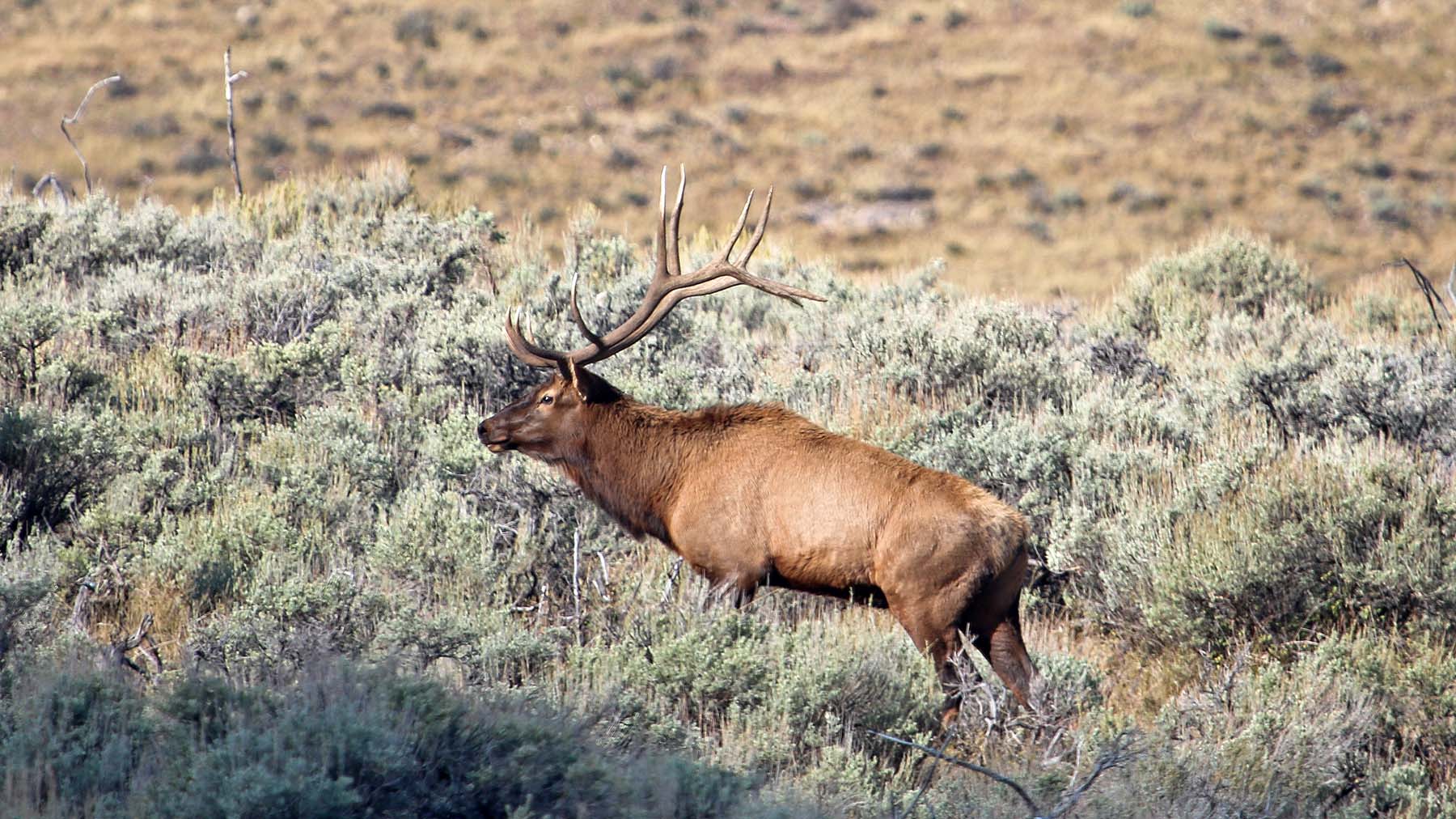 K Ranch property picture 12 of 100