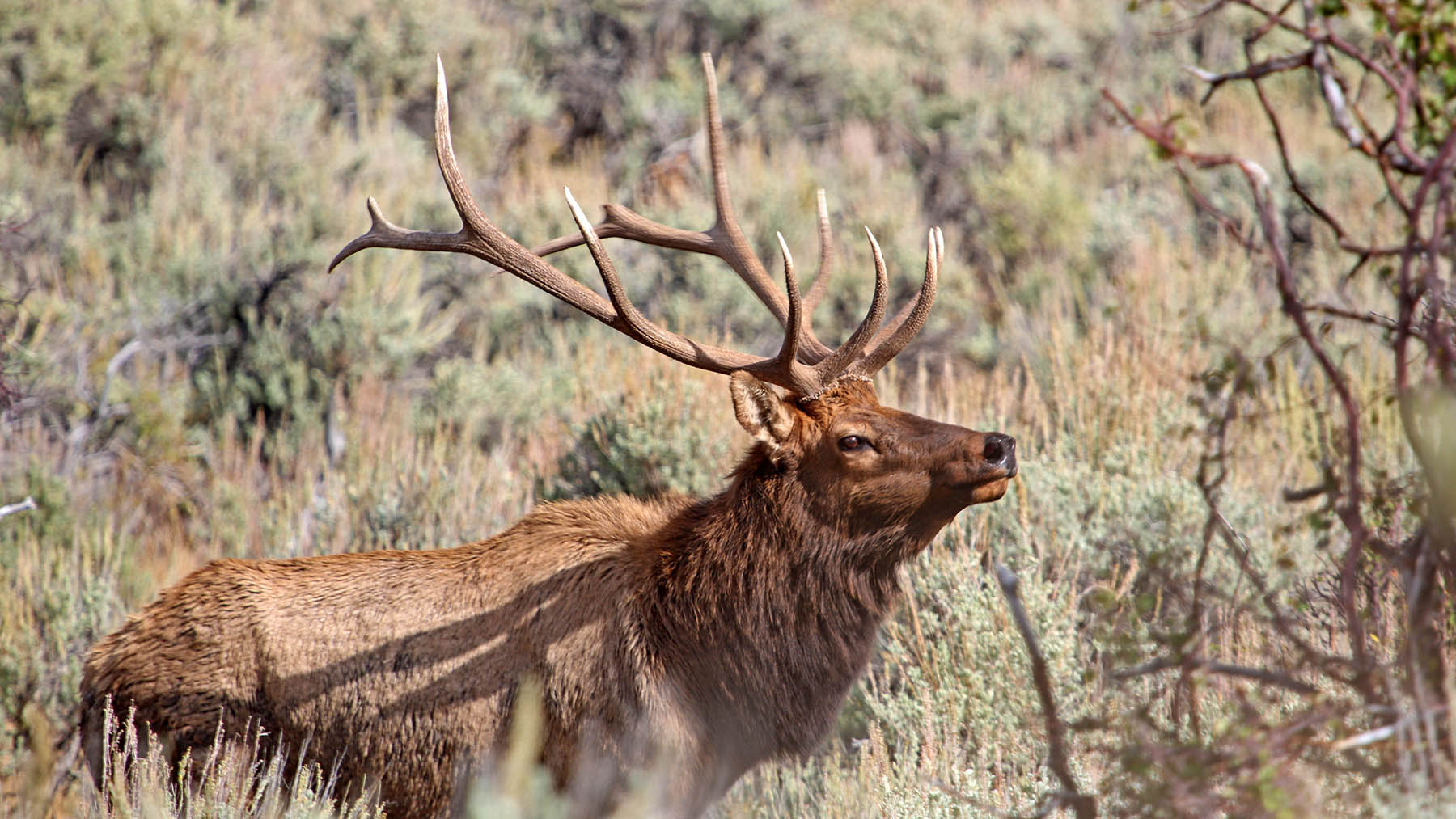 K Ranch property picture 99 of 100