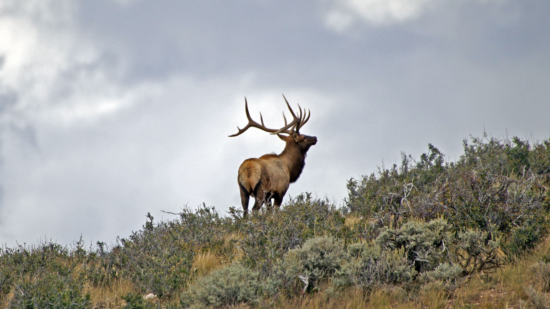 K Ranch property picture 51 of 100