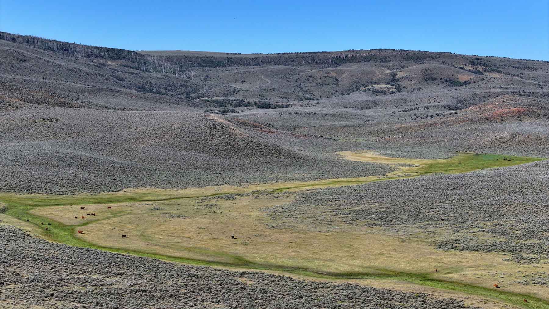 K Ranch property picture 62 of 100