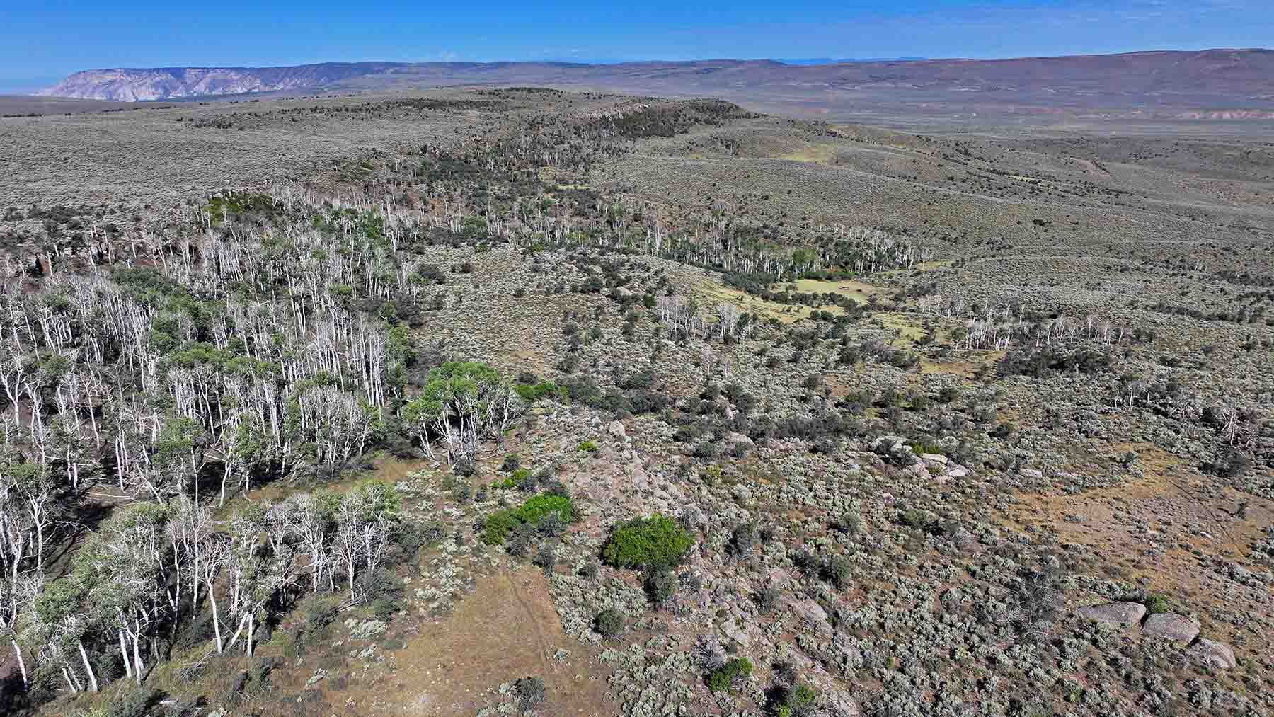 K Ranch property picture 24 of 100