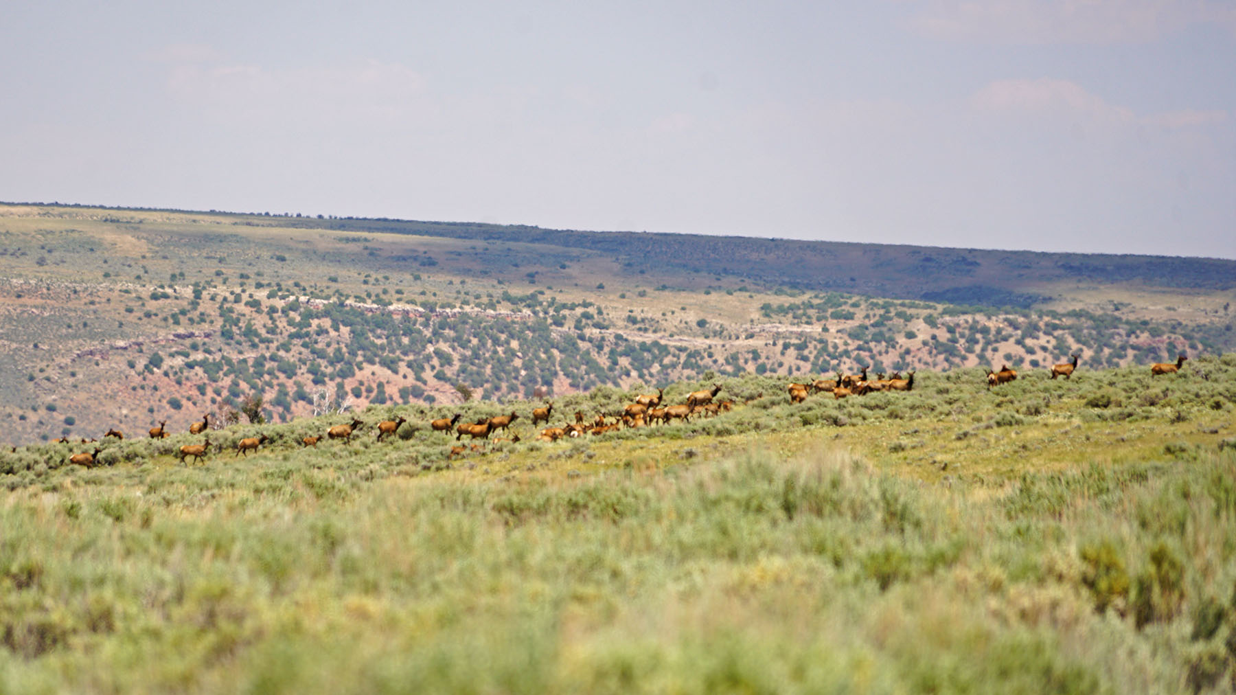 K Ranch property picture 59 of 100