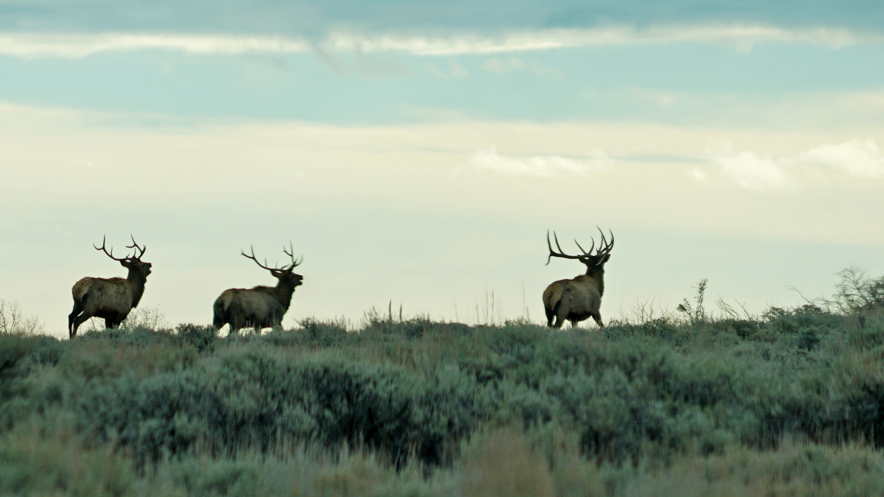 K Ranch property picture 85 of 100