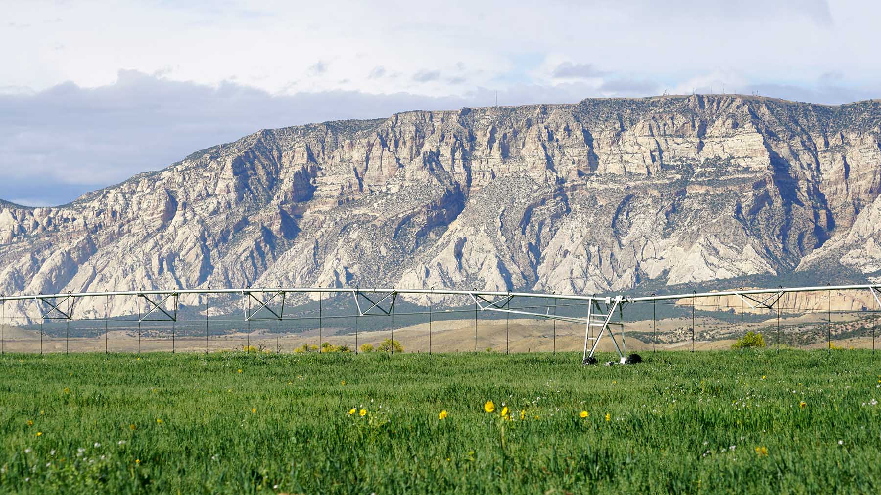 K Ranch property picture 44 of 100