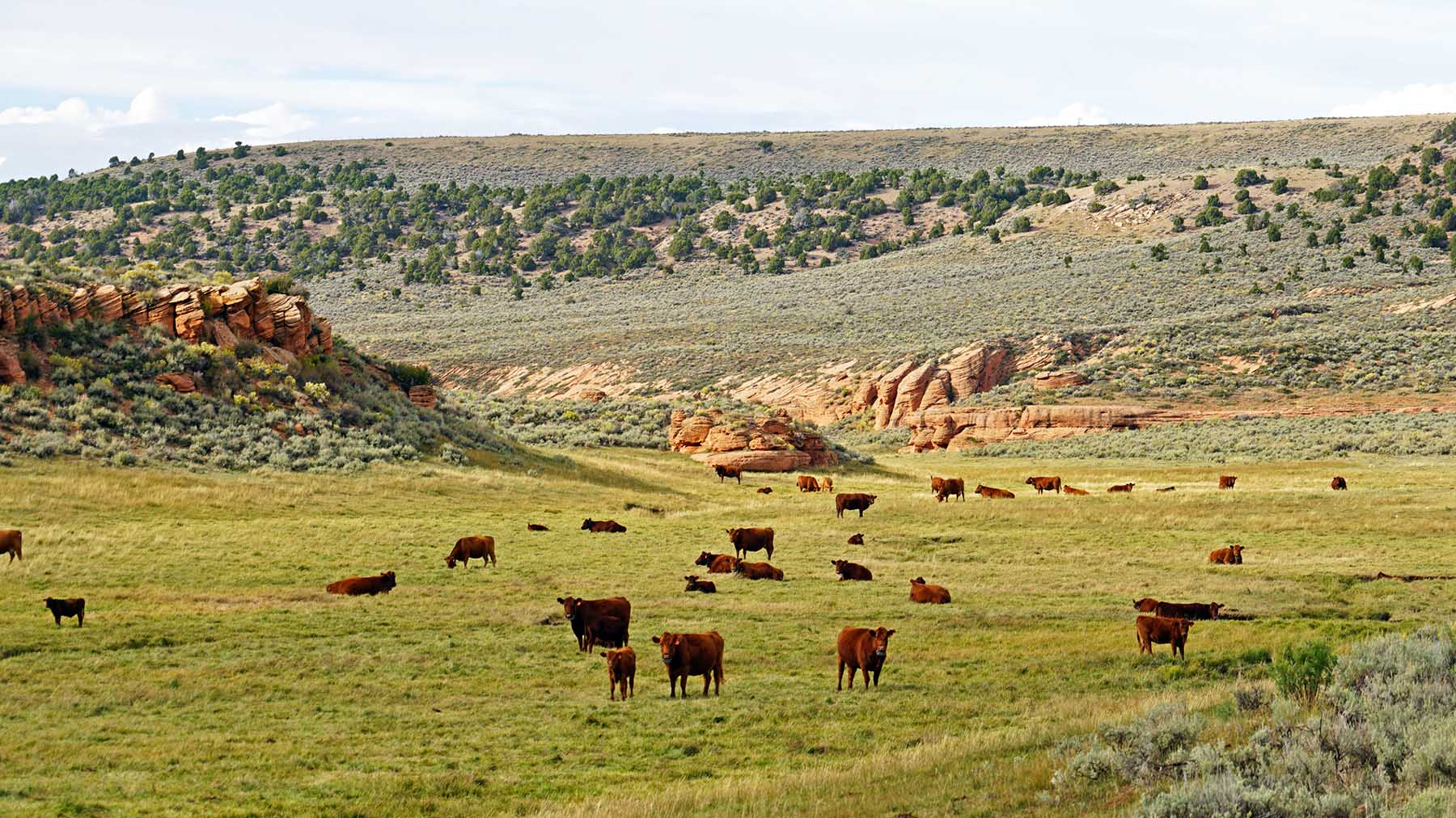 K Ranch property picture 4 of 100