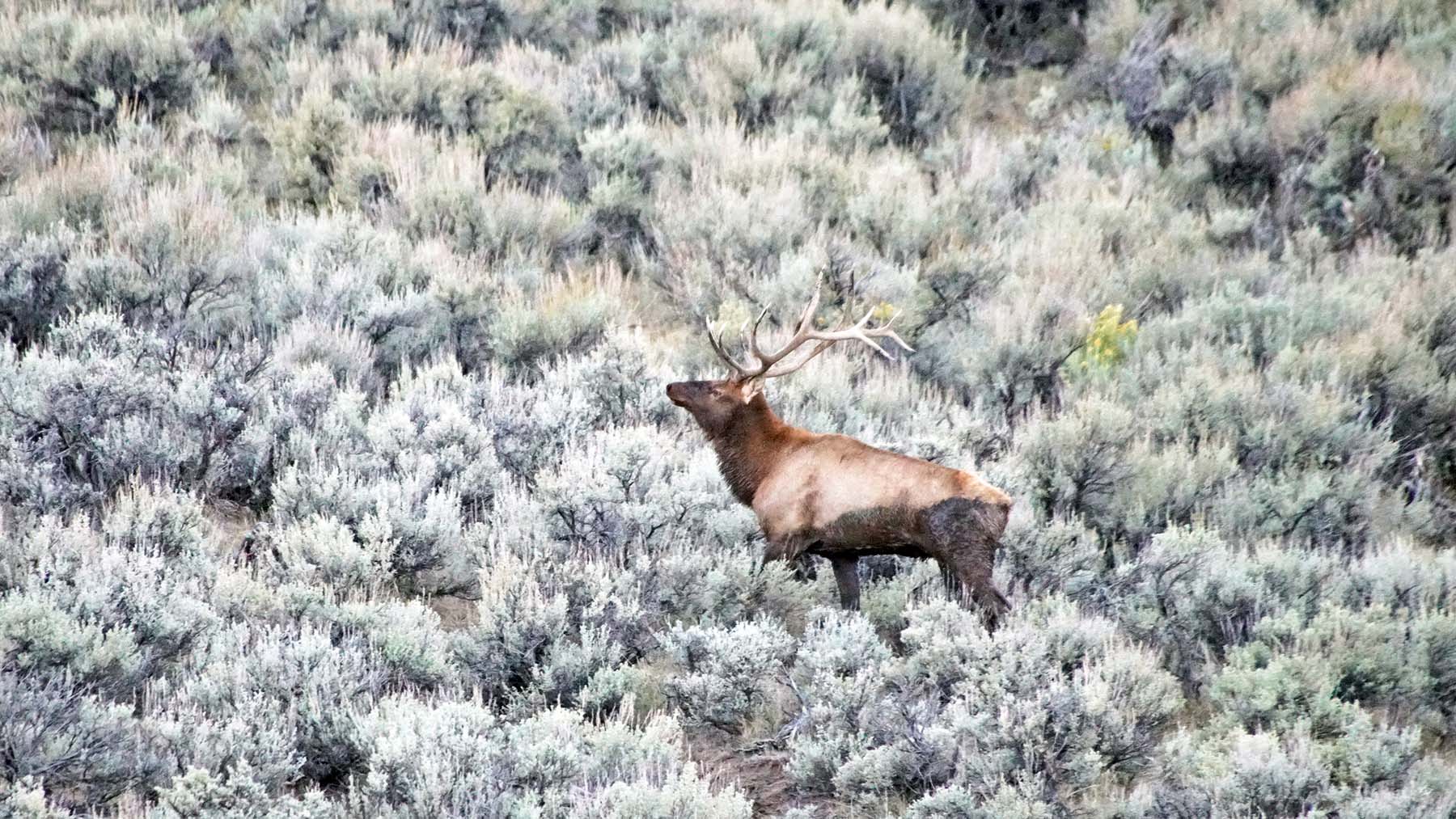 K Ranch property picture 88 of 100