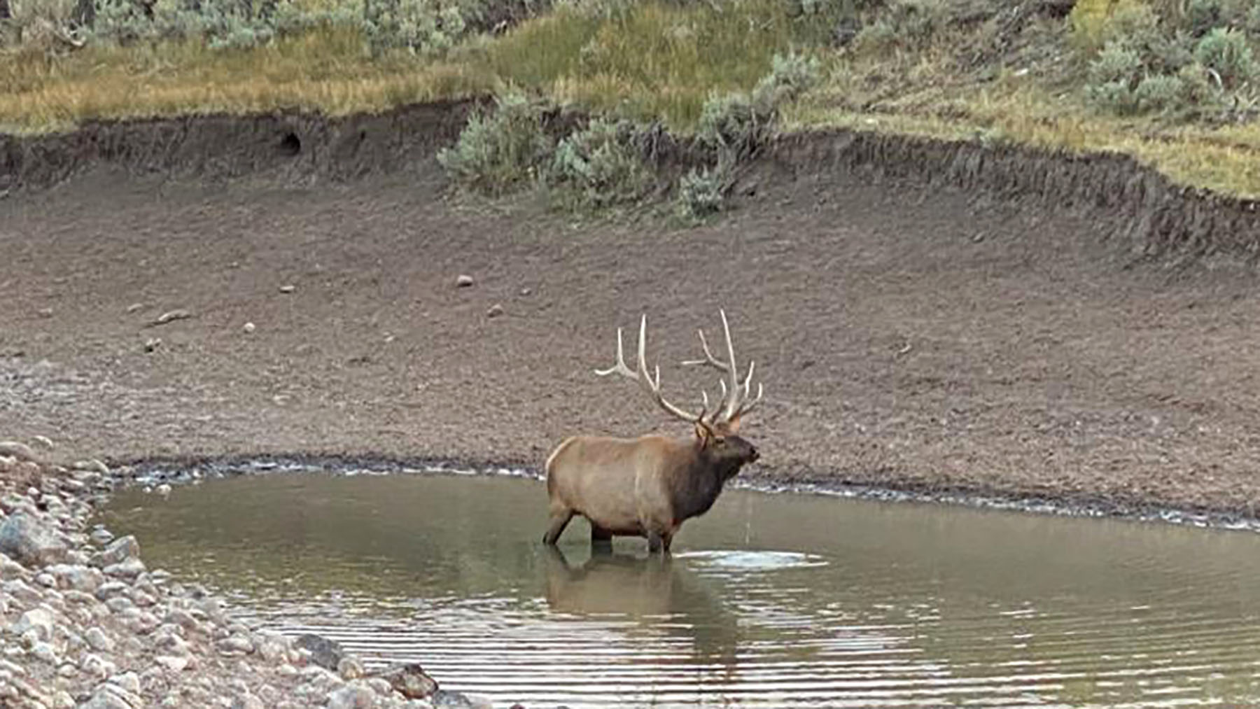 K Ranch property picture 27 of 100