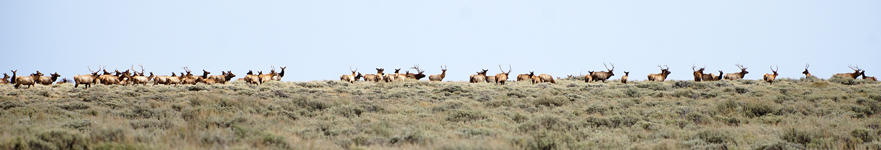 K Ranch property picture 100 of 100