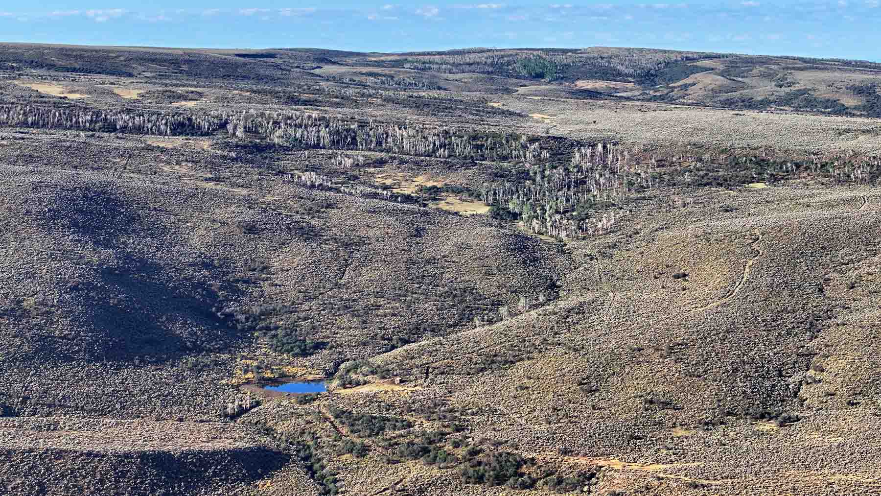 K Ranch property picture 19 of 100