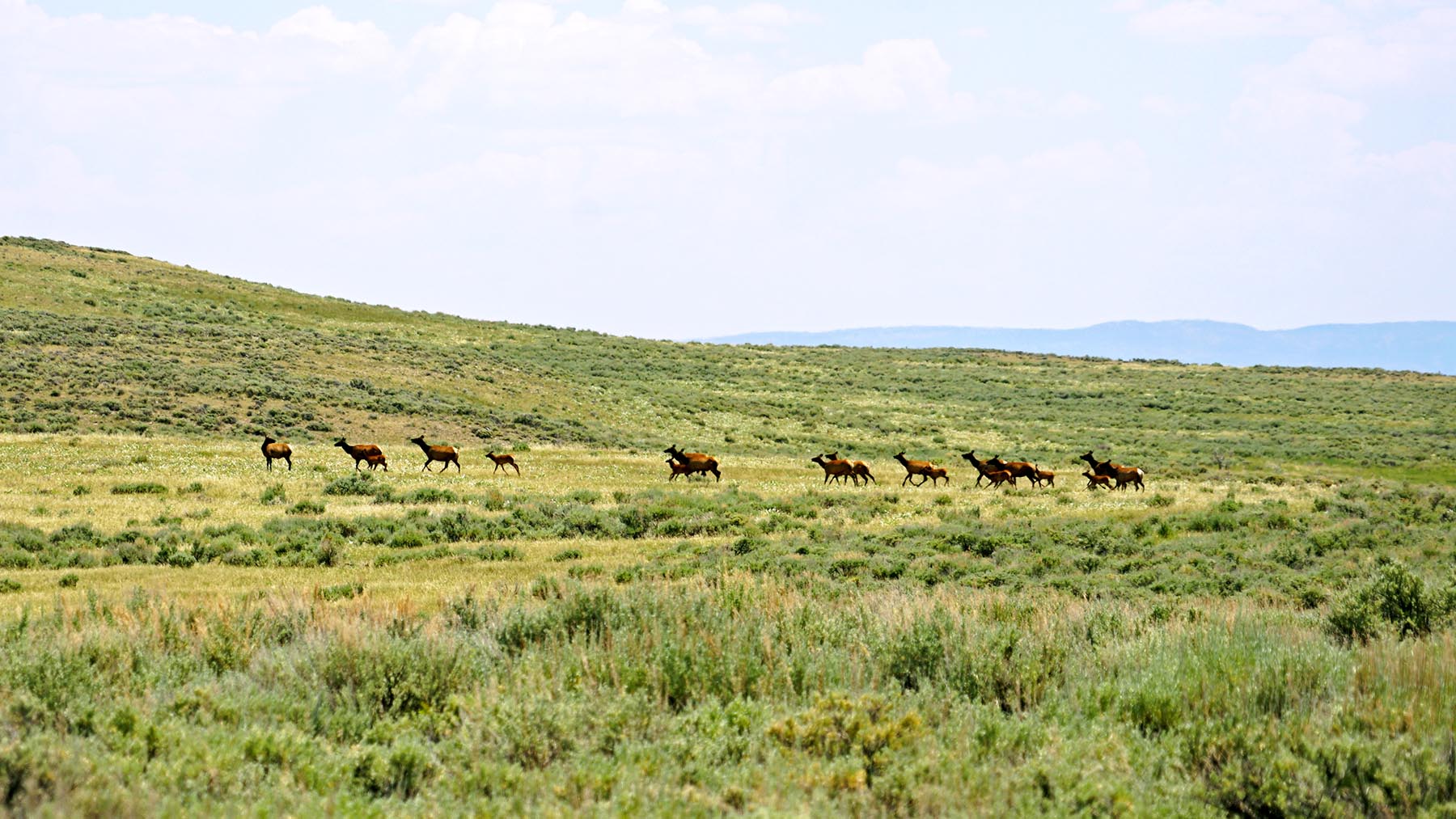 K Ranch property picture 48 of 100