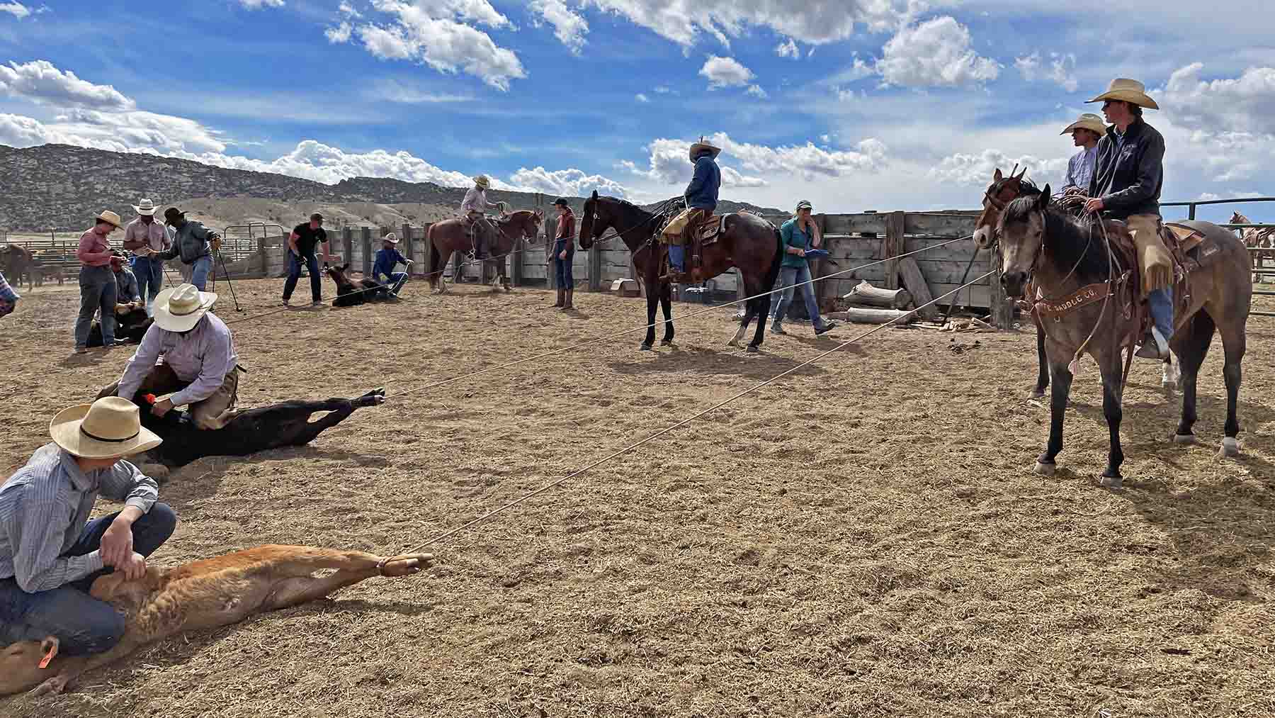 K Ranch property picture 55 of 100