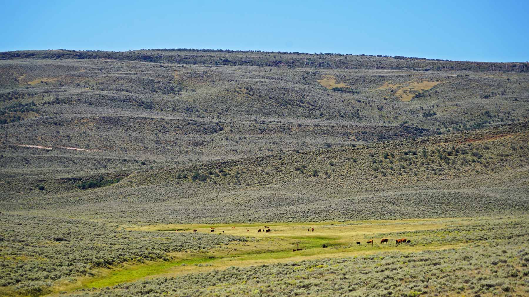 K Ranch property picture 7 of 100