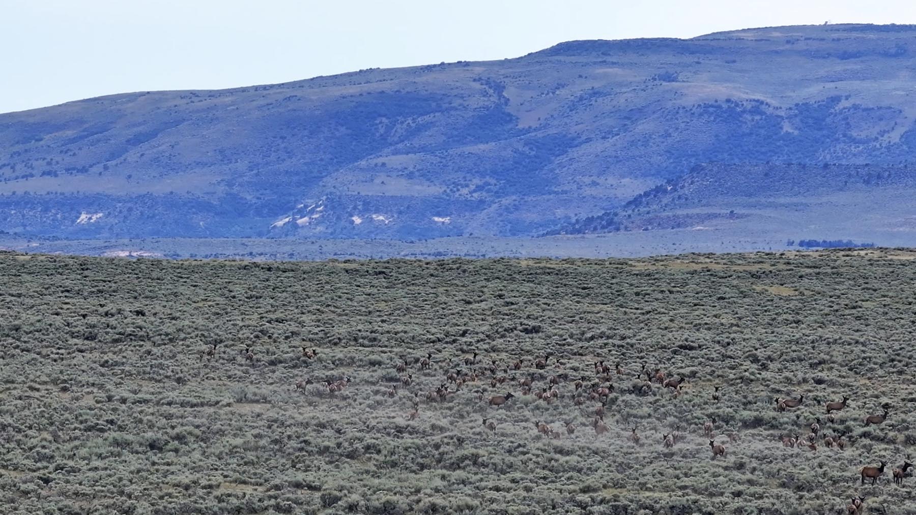 K Ranch property picture 63 of 100