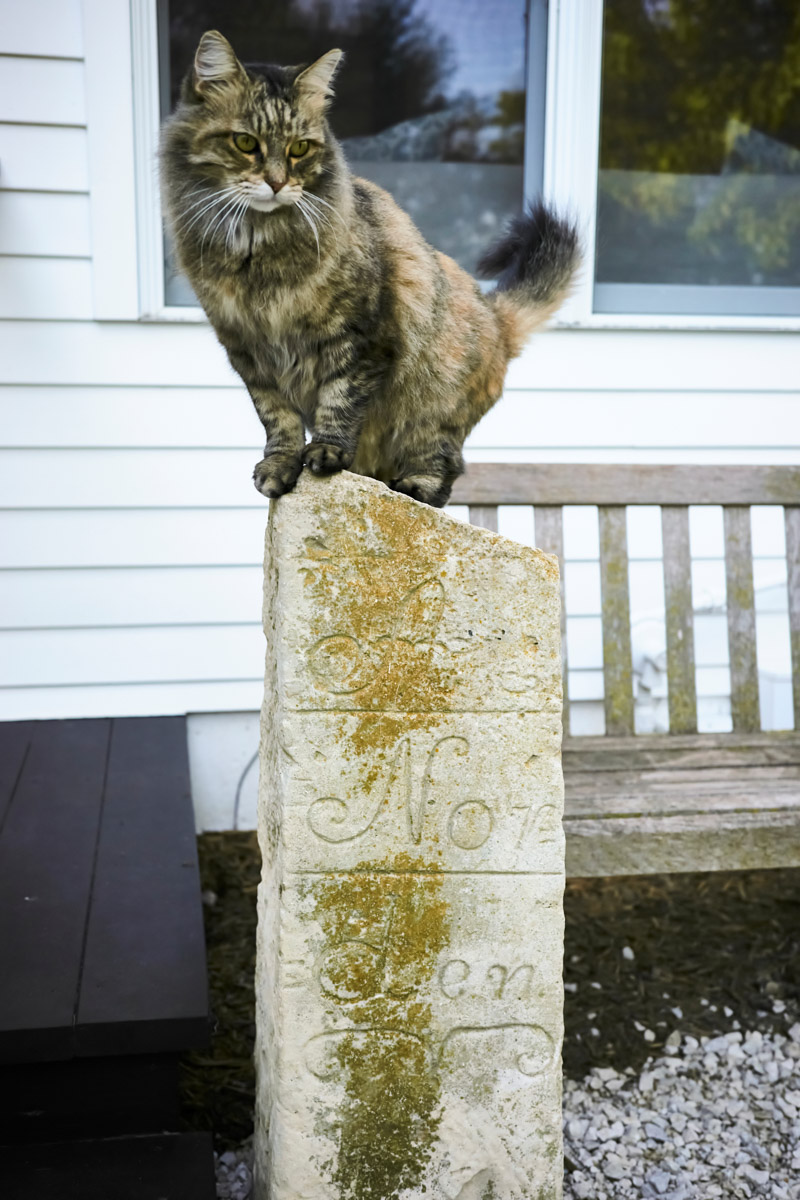 Wigglesworth Ranch property picture 8 of 45