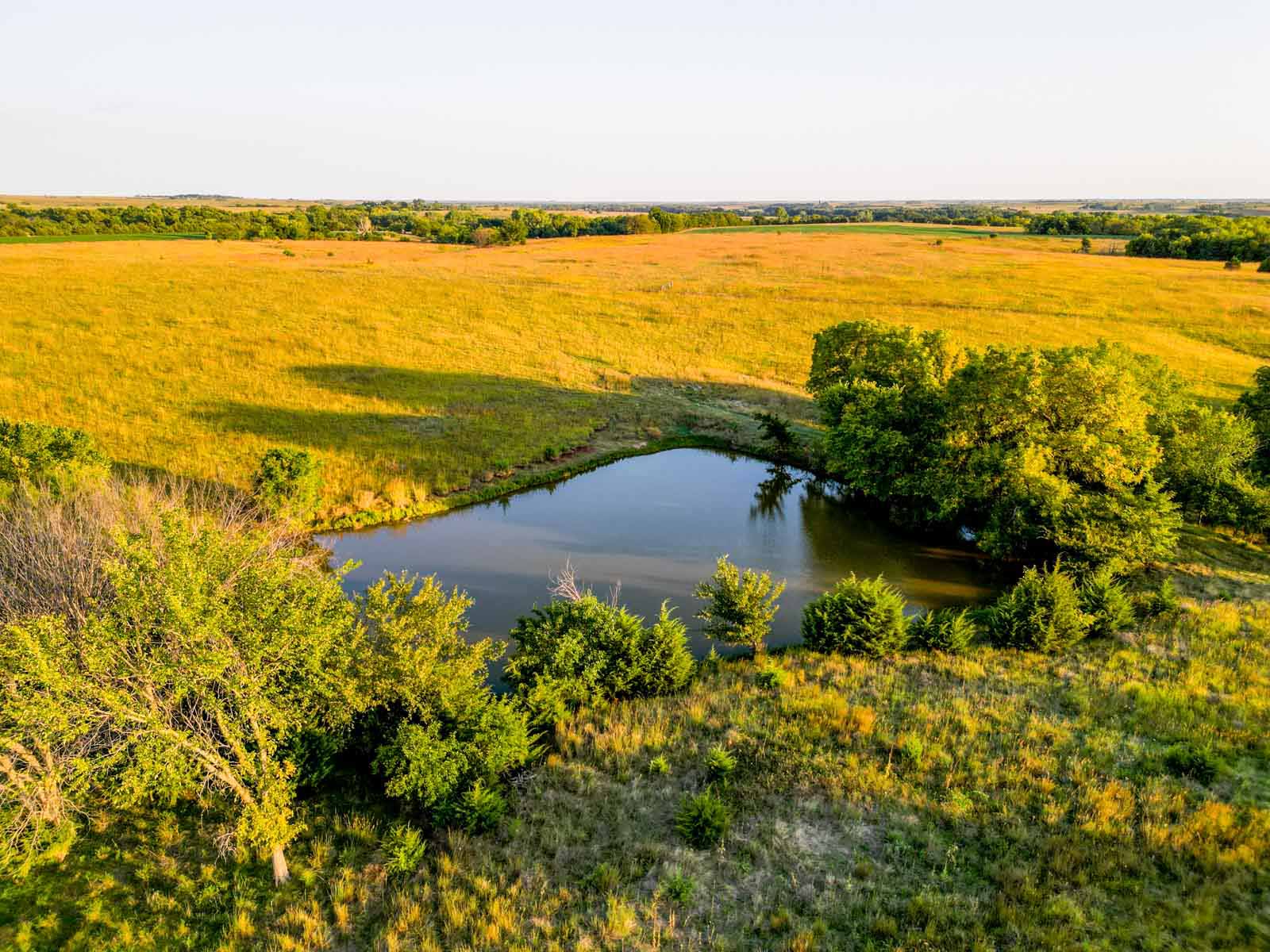 Wigglesworth Ranch property picture 39 of 45