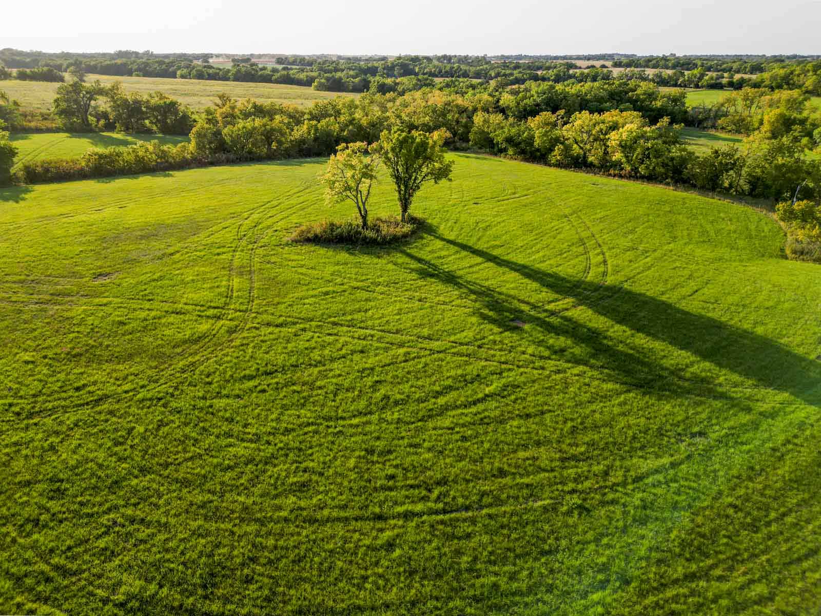 Wigglesworth Ranch property picture 38 of 45