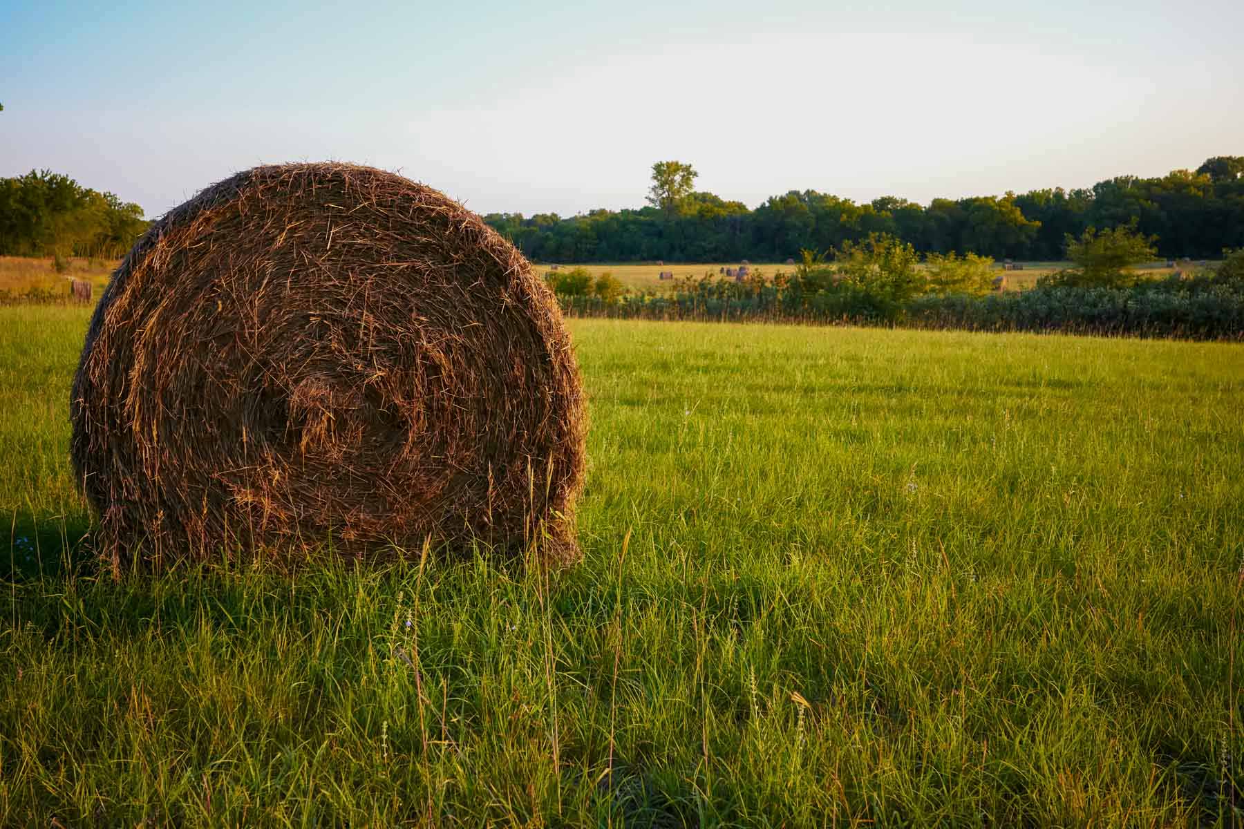 Wigglesworth Ranch property picture 44 of 45