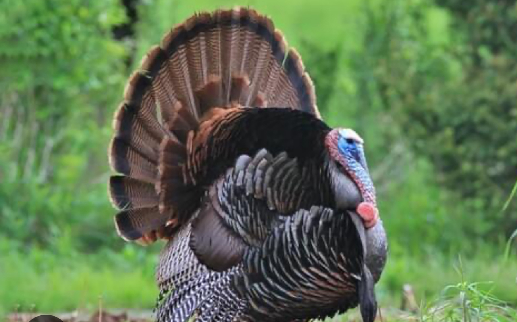 R & R Land Company property picture 9 of 69