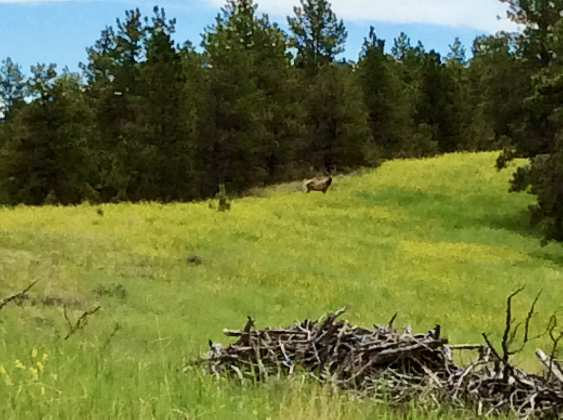 R & R Land Company property picture 51 of 69