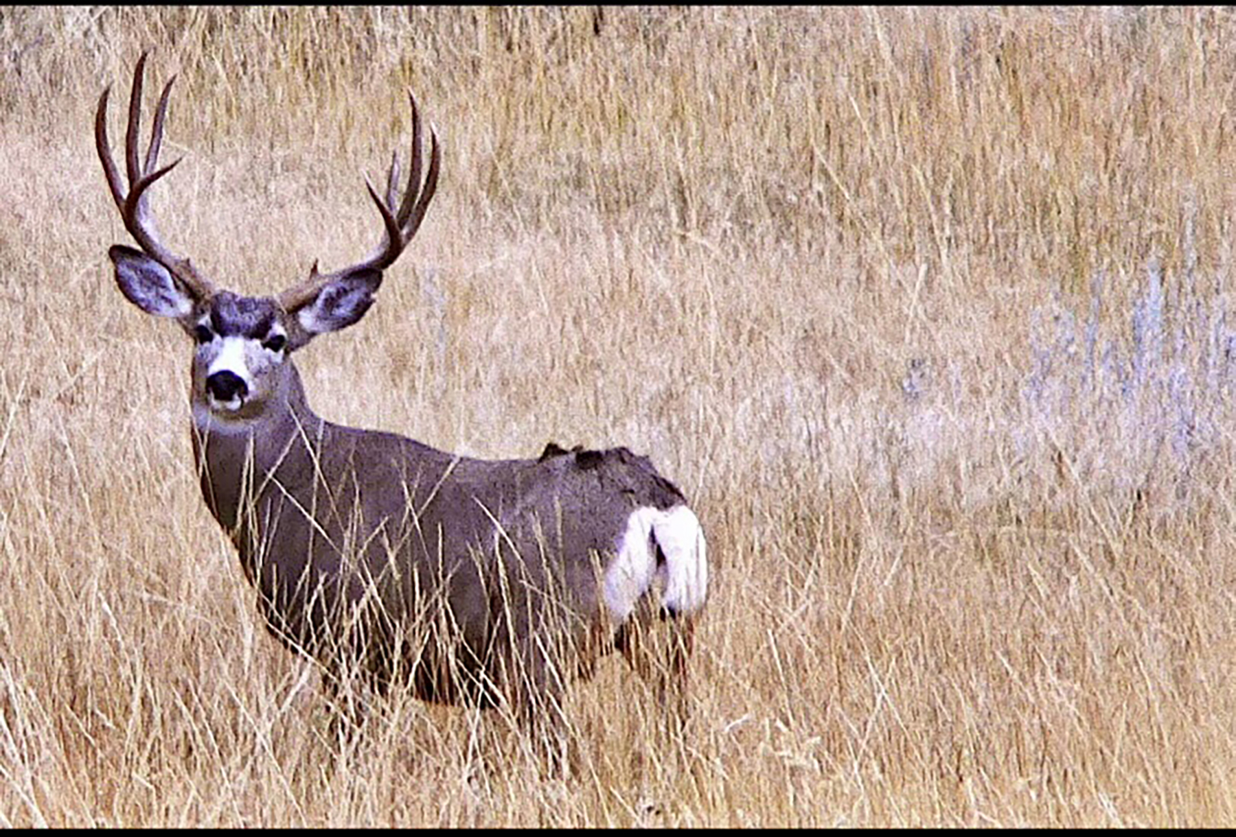 R & R Land Company property picture 36 of 69