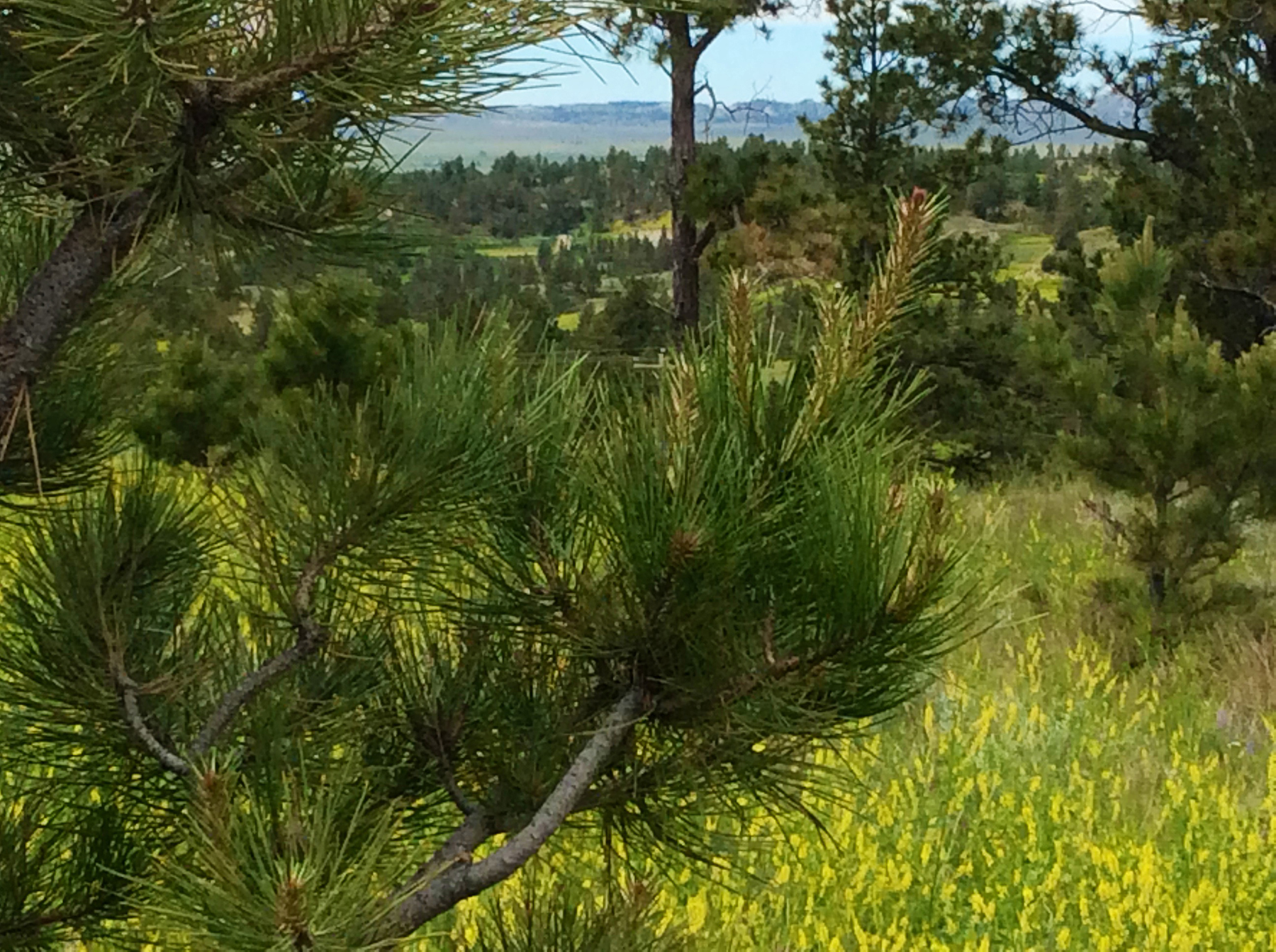 R & R Land Company property picture 26 of 69