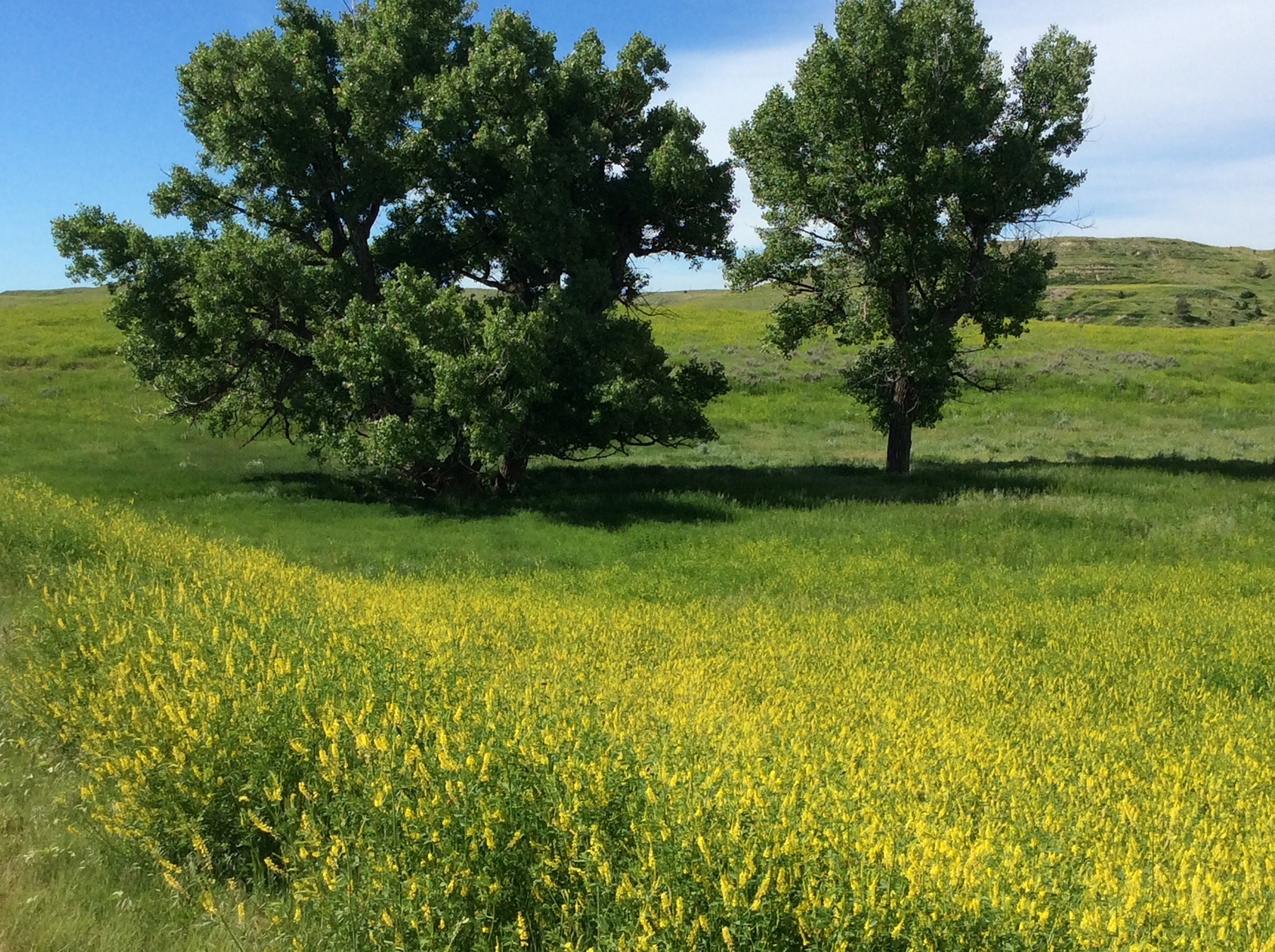 R & R Land Company property picture 48 of 69