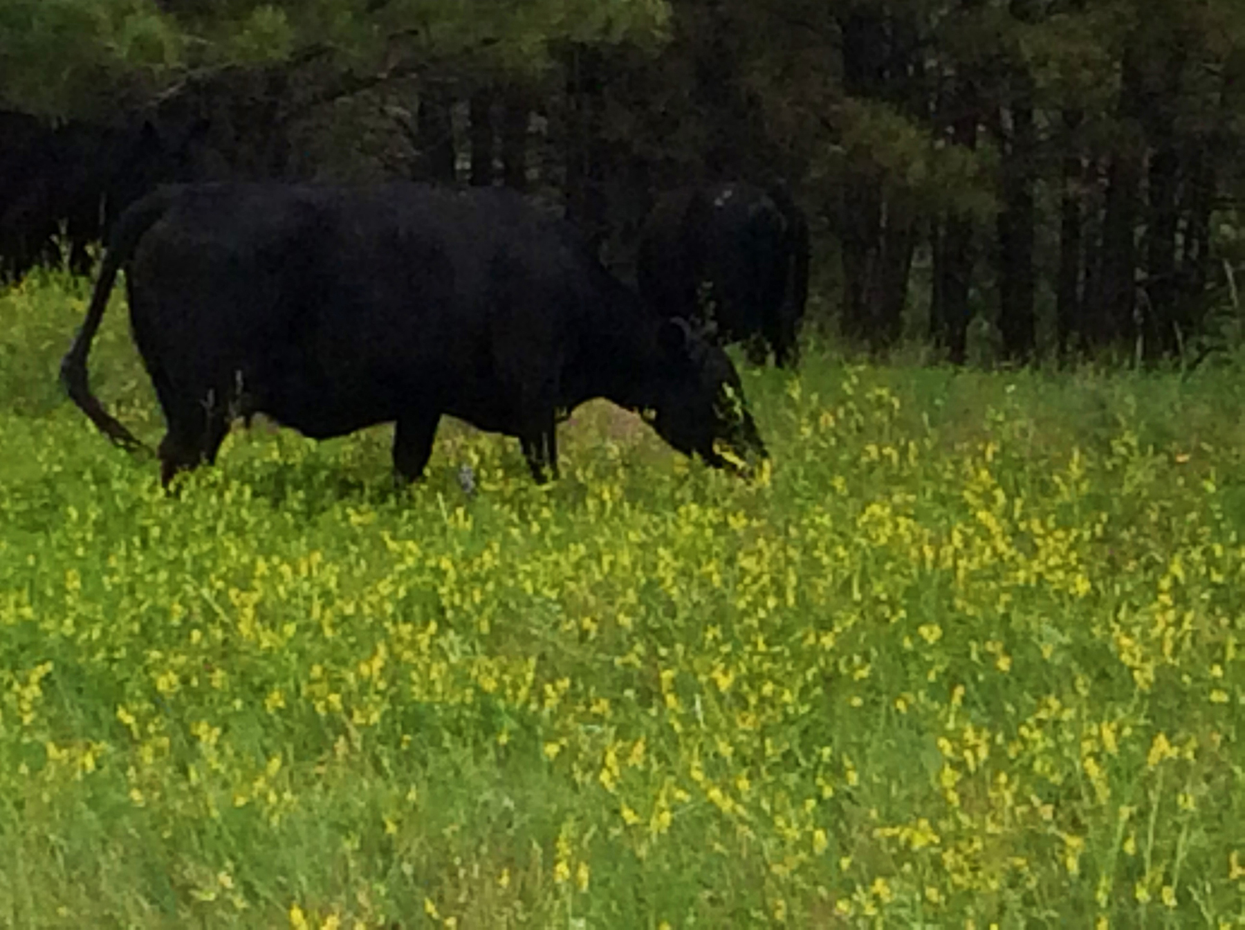 R & R Land Company property picture 62 of 69