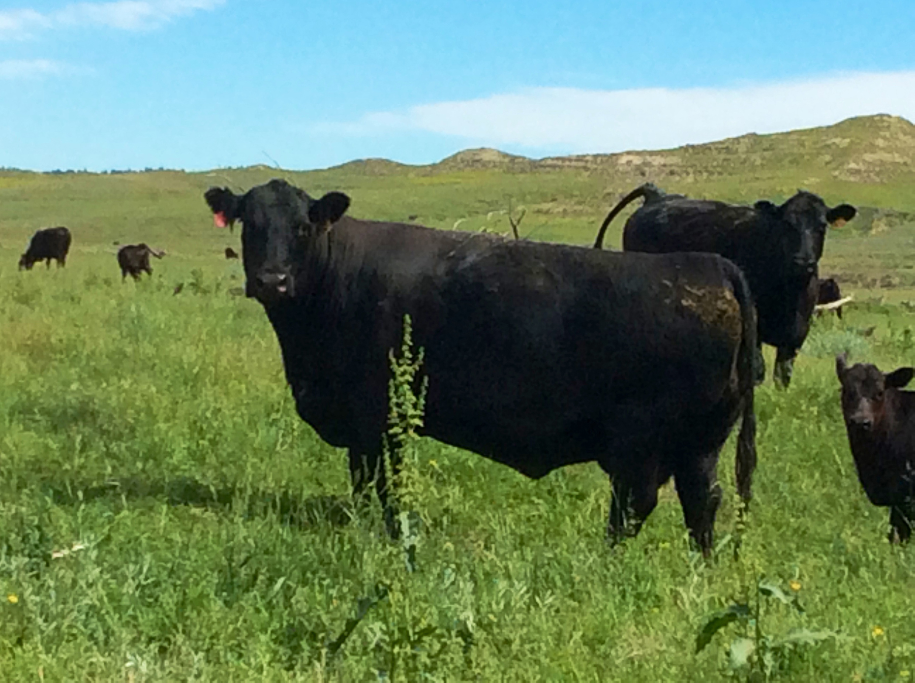 R & R Land Company property picture 7 of 69