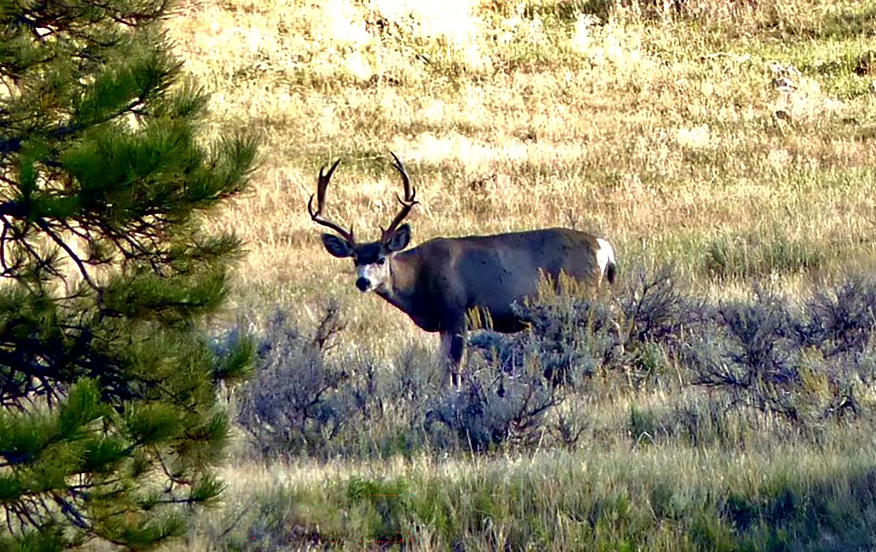 R & R Land Company property picture 40 of 69