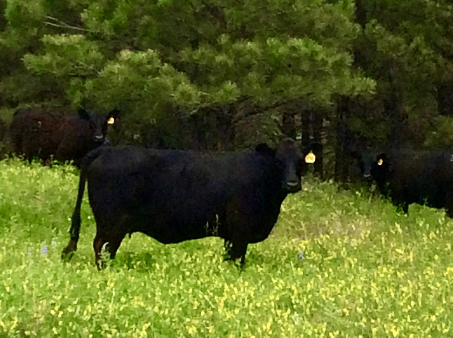 R & R Land Company property picture 60 of 69