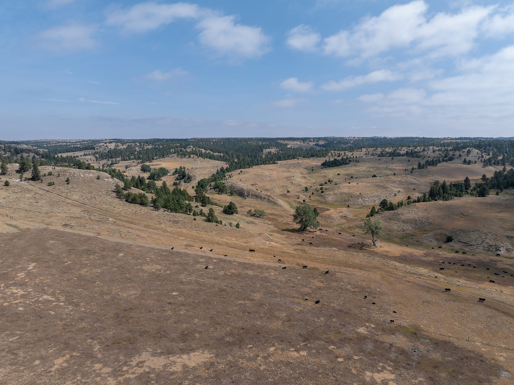 R & R Land Company property picture 61 of 69