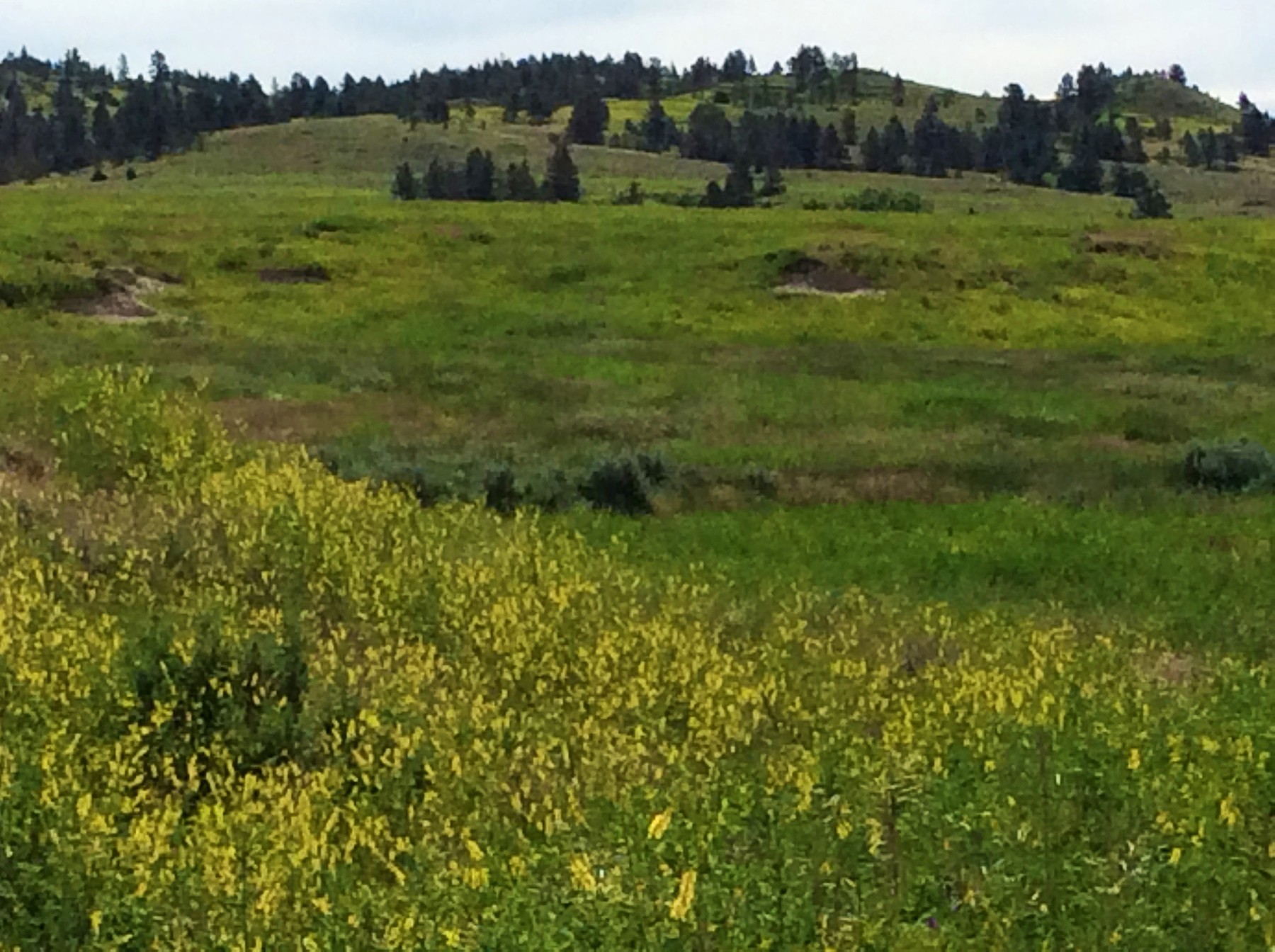 R & R Land Company property picture 18 of 69