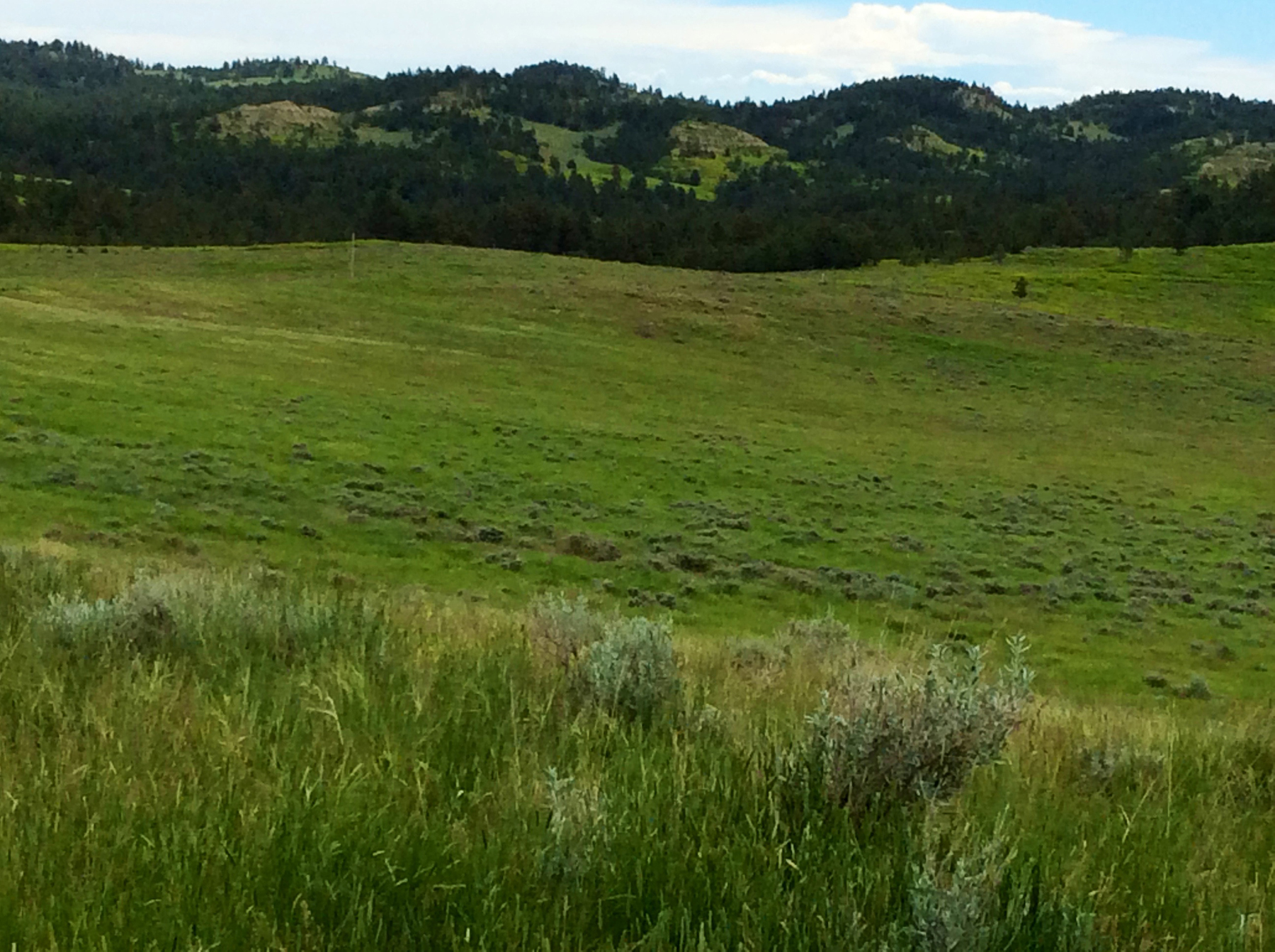 R & R Land Company property picture 4 of 69