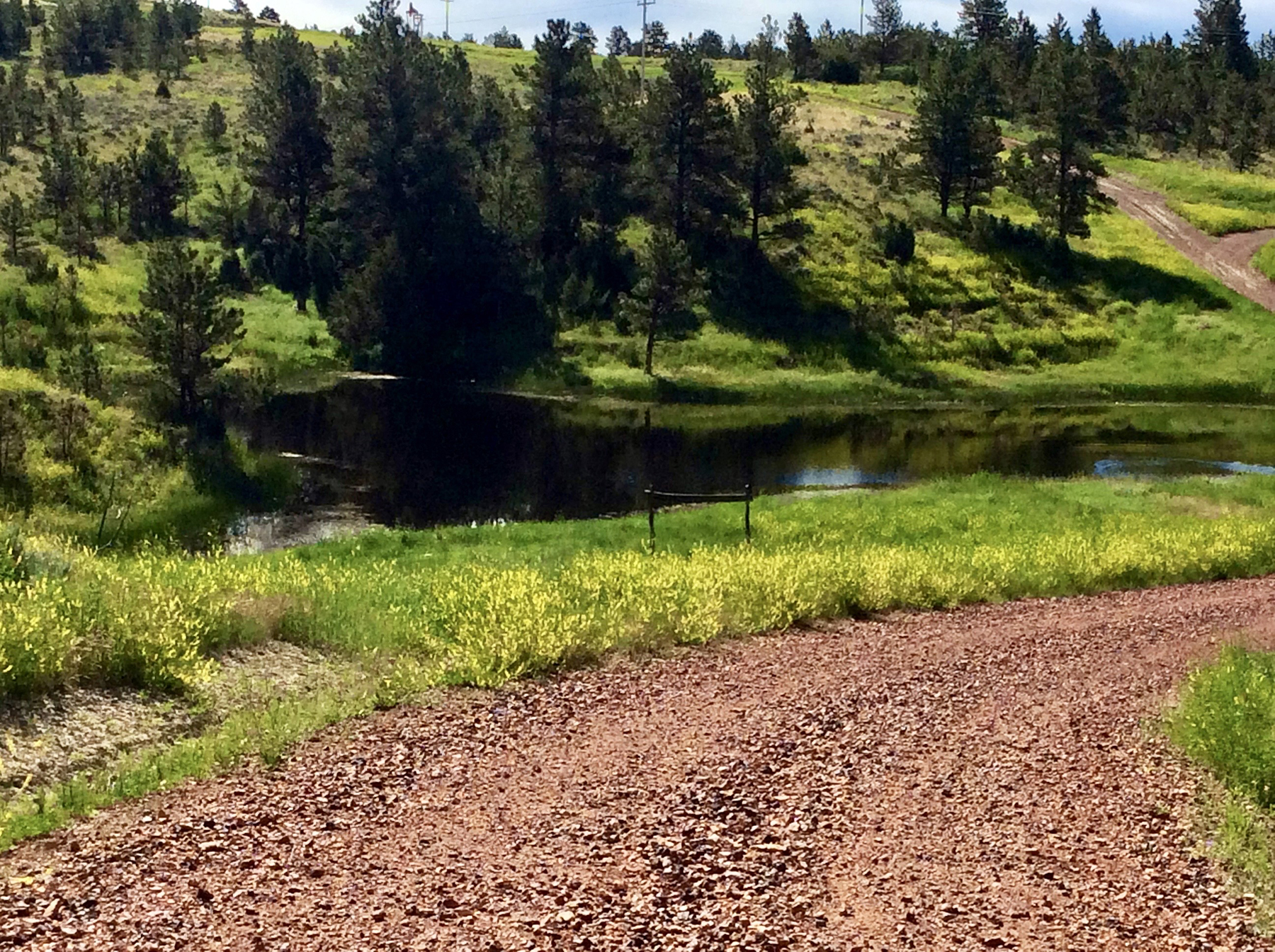 R & R Land Company property picture 35 of 69