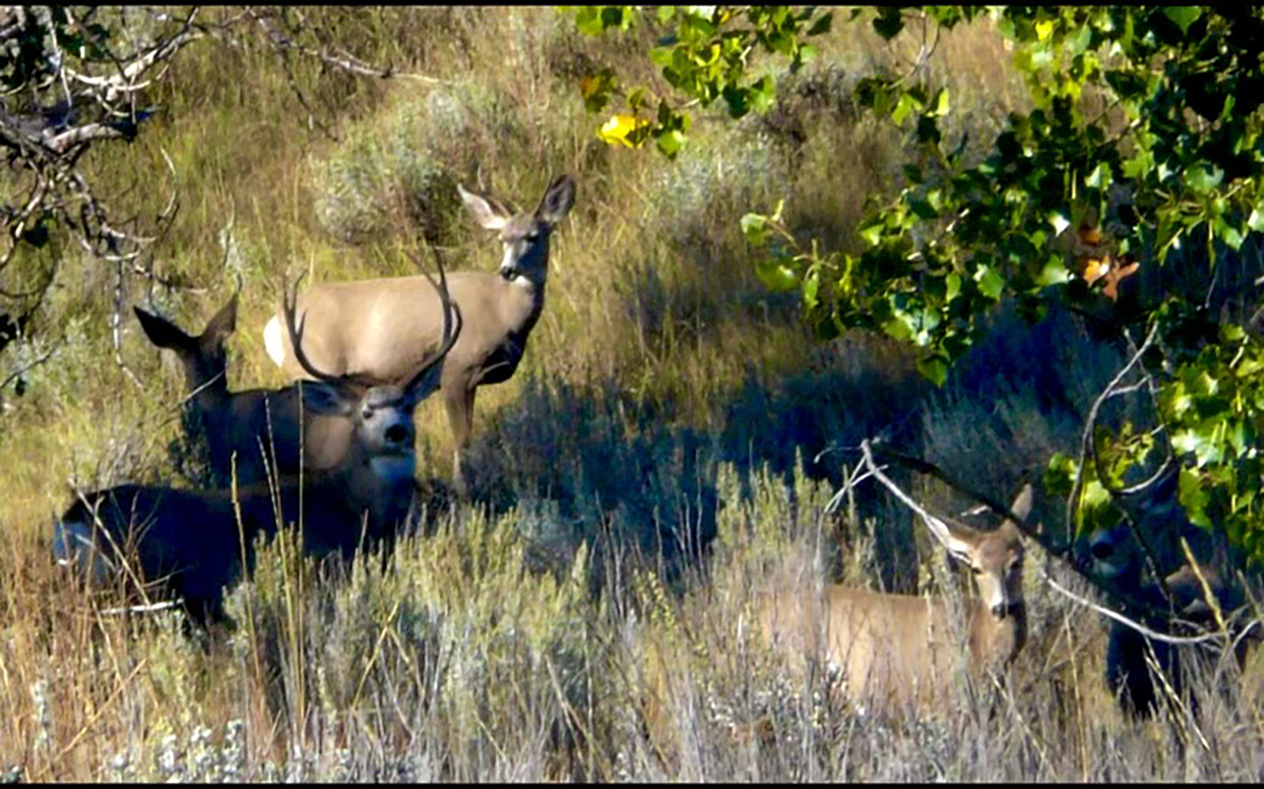 R & R Land Company property picture 31 of 69