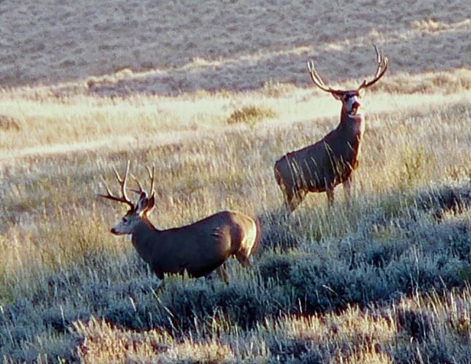 R & R Land Company property picture 20 of 69