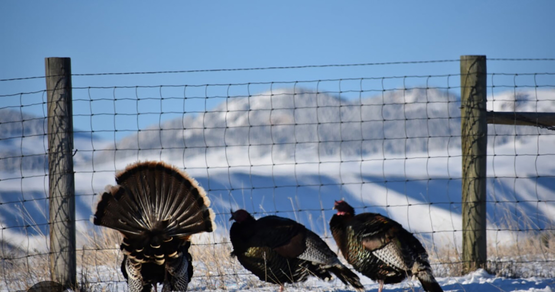 R & R Land Company property picture 17 of 69