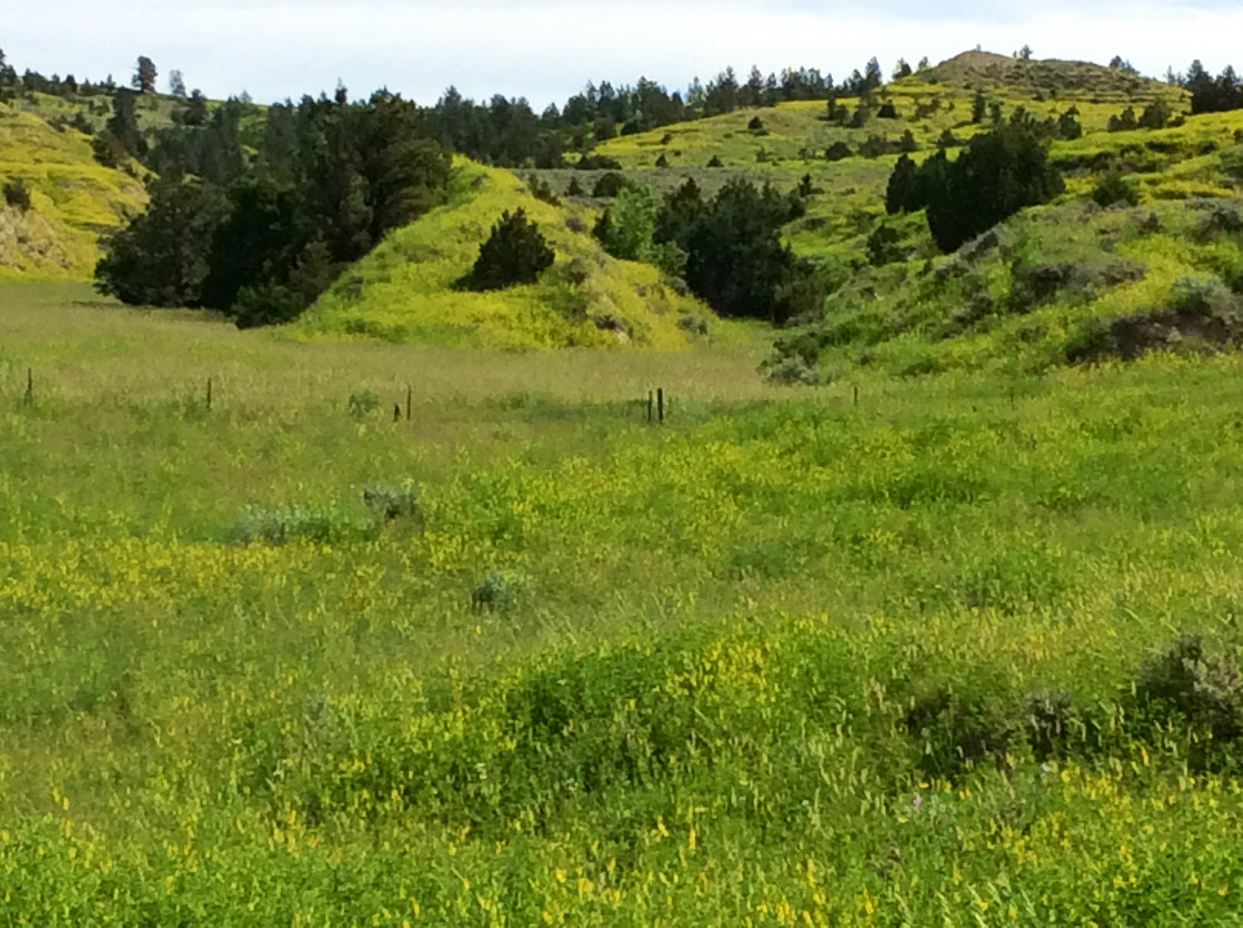 R & R Land Company property picture 29 of 69