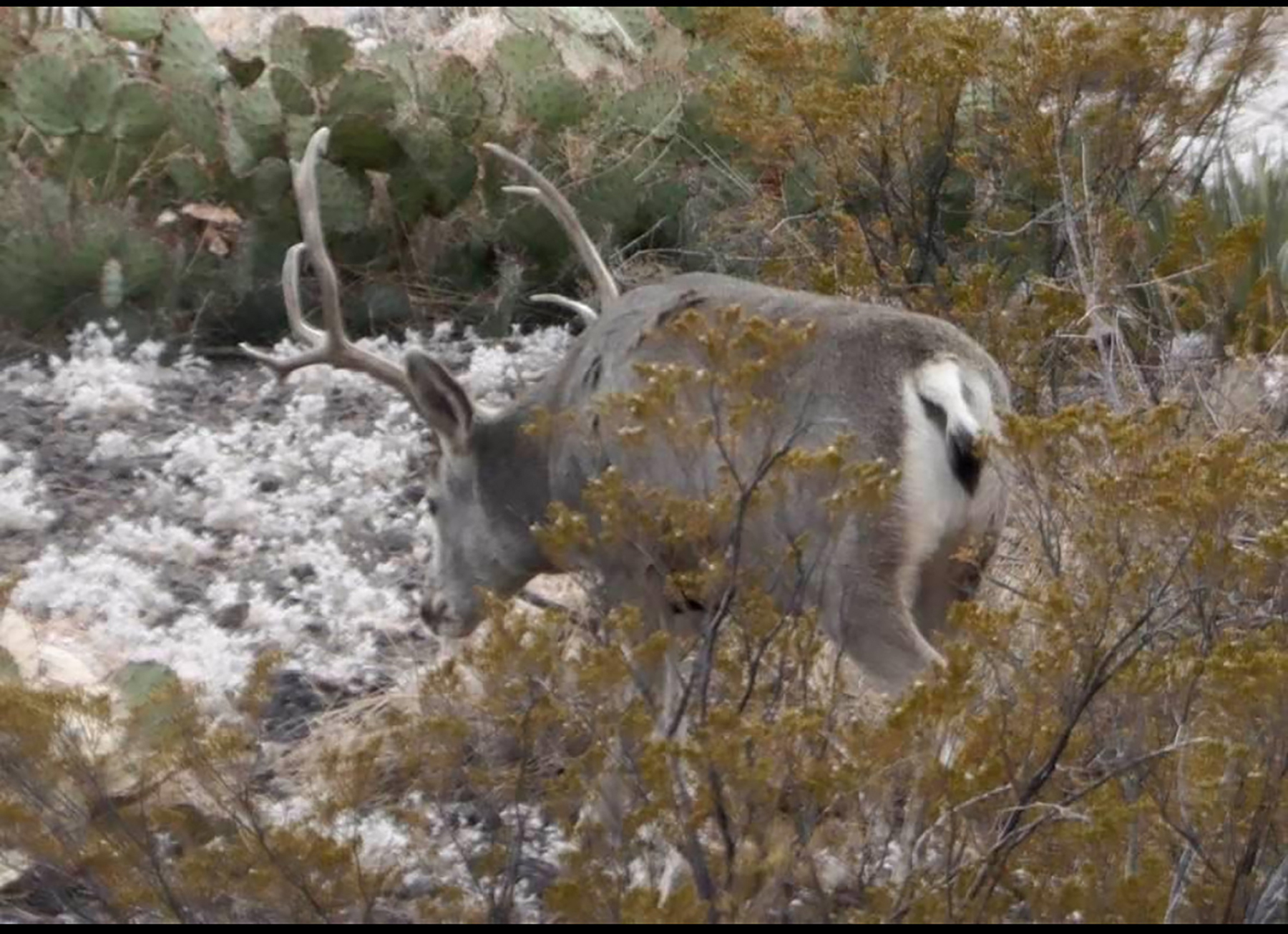 R & R Land Company property picture 27 of 69