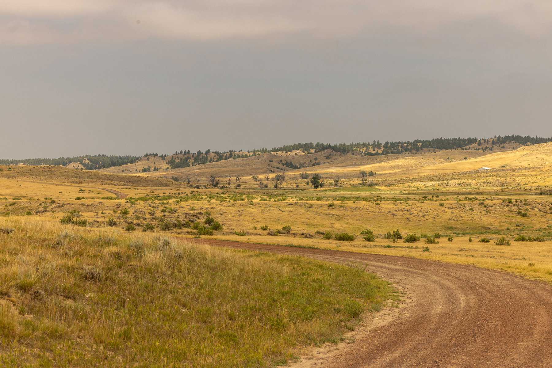 R & R Land Company property picture 58 of 69