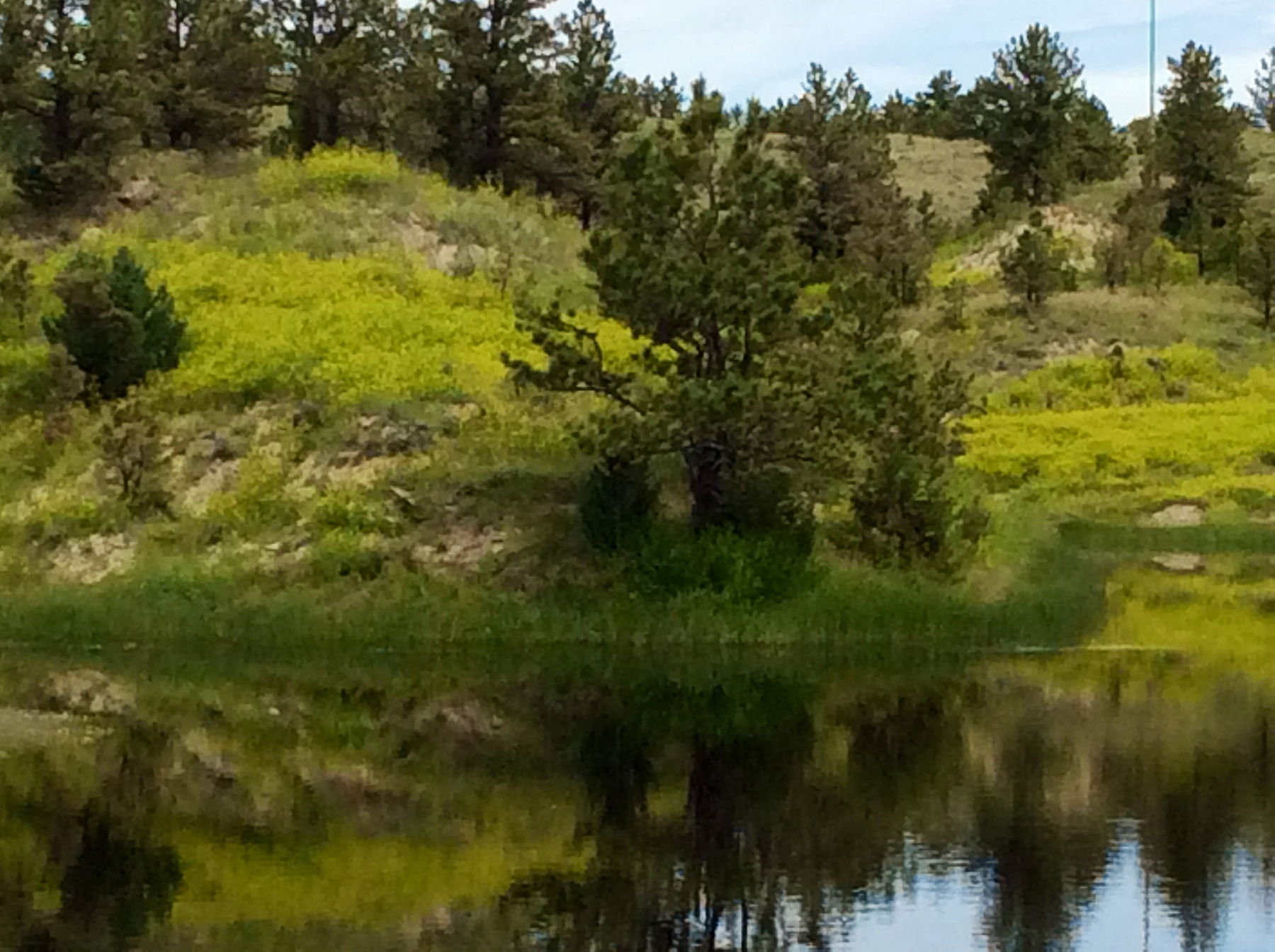 R & R Land Company property picture 16 of 69