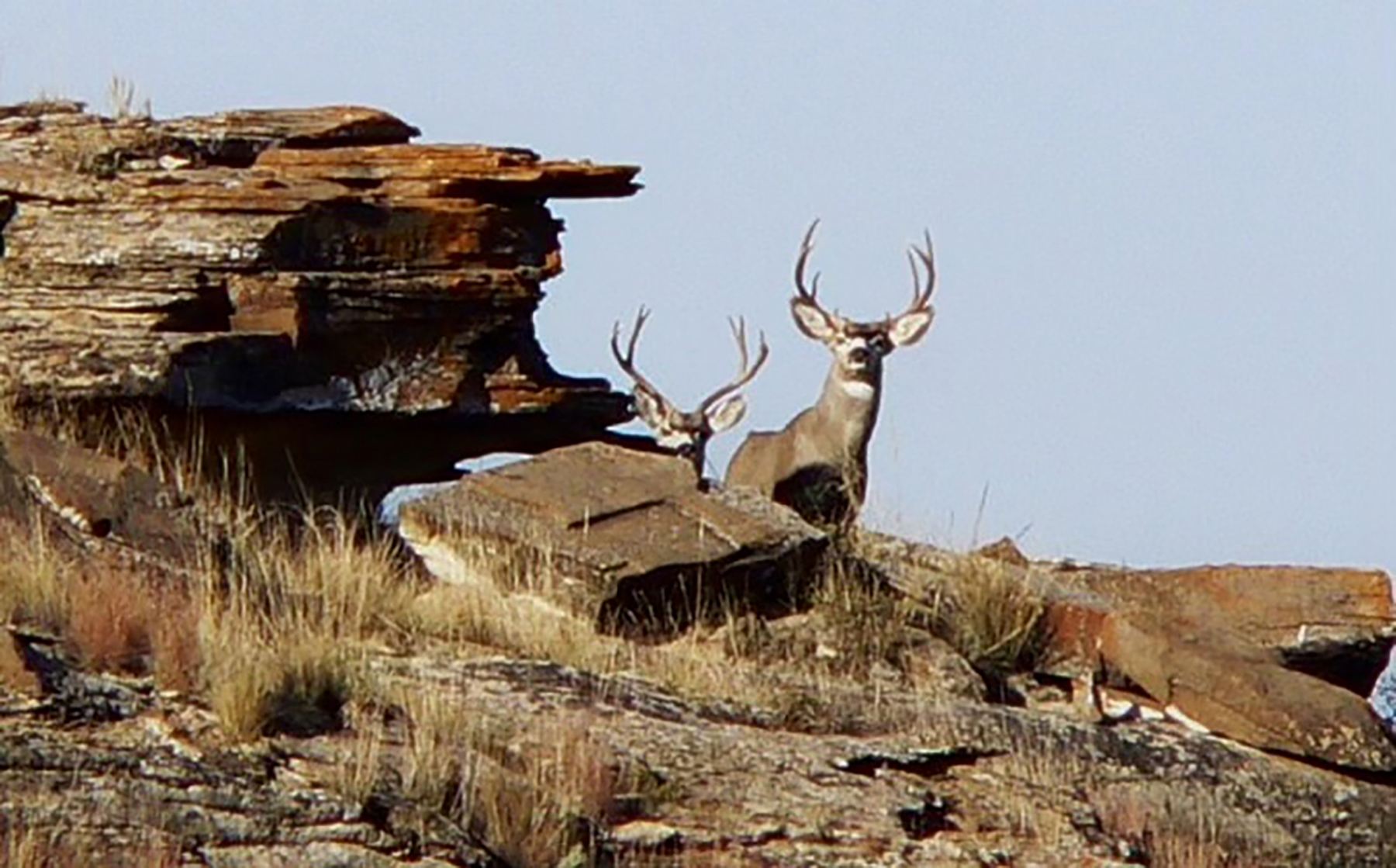 R & R Land Company property picture 23 of 69