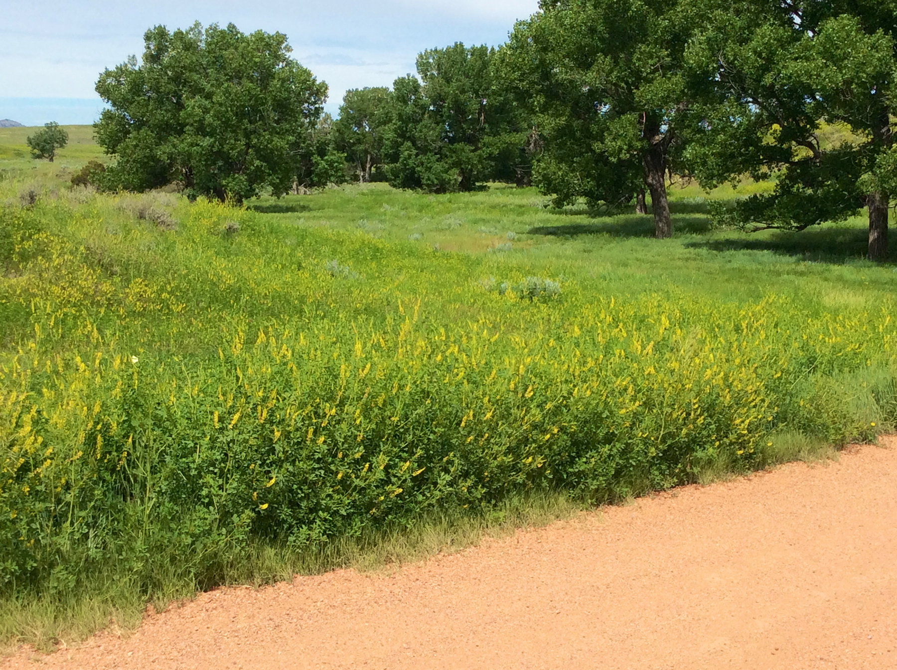 R & R Land Company property picture 38 of 69