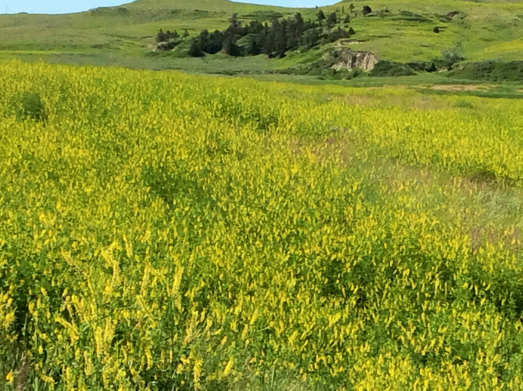 R & R Land Company property picture 41 of 69